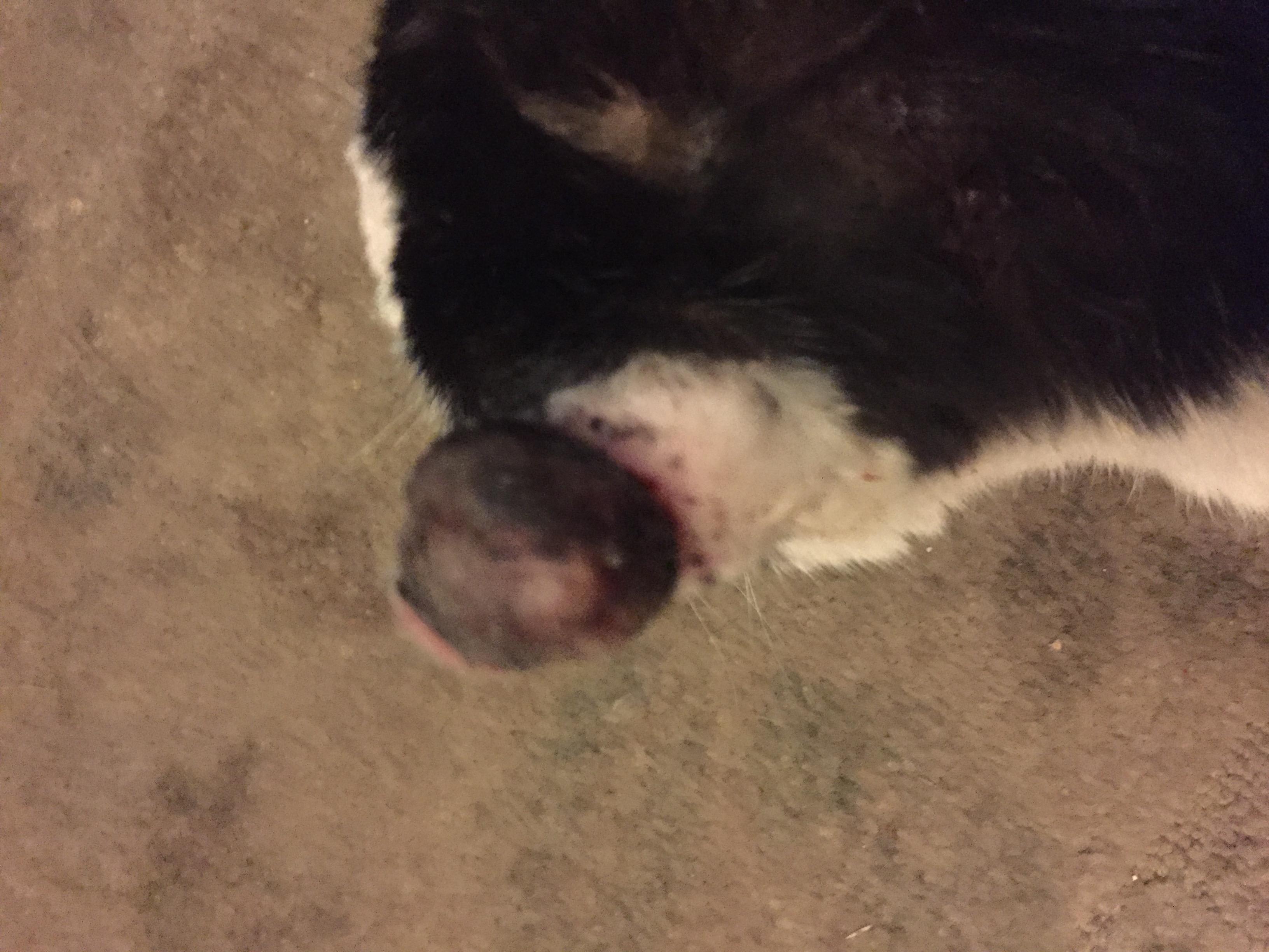 Question details sensitive content