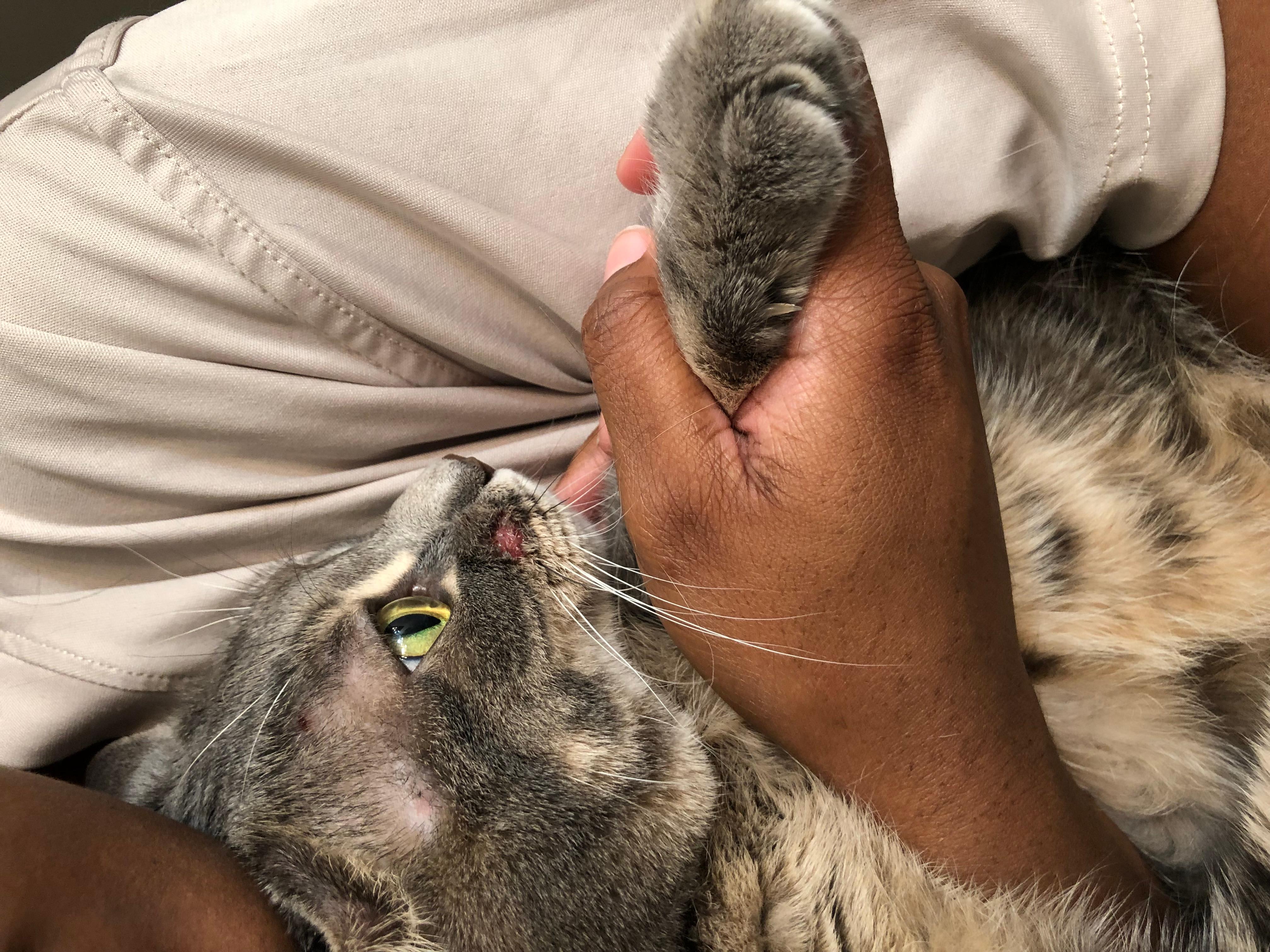 Question details sensitive content