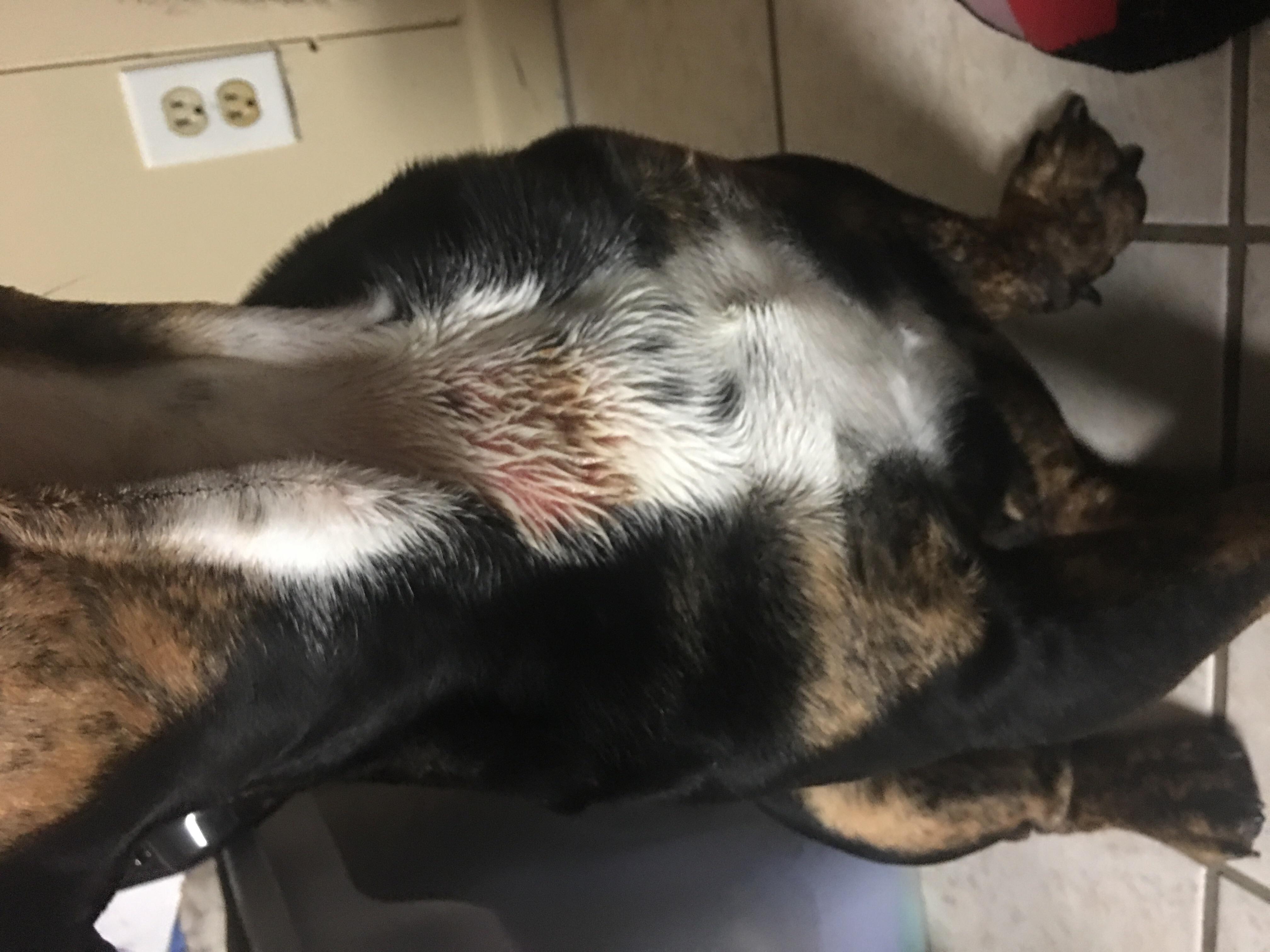 Question details sensitive content