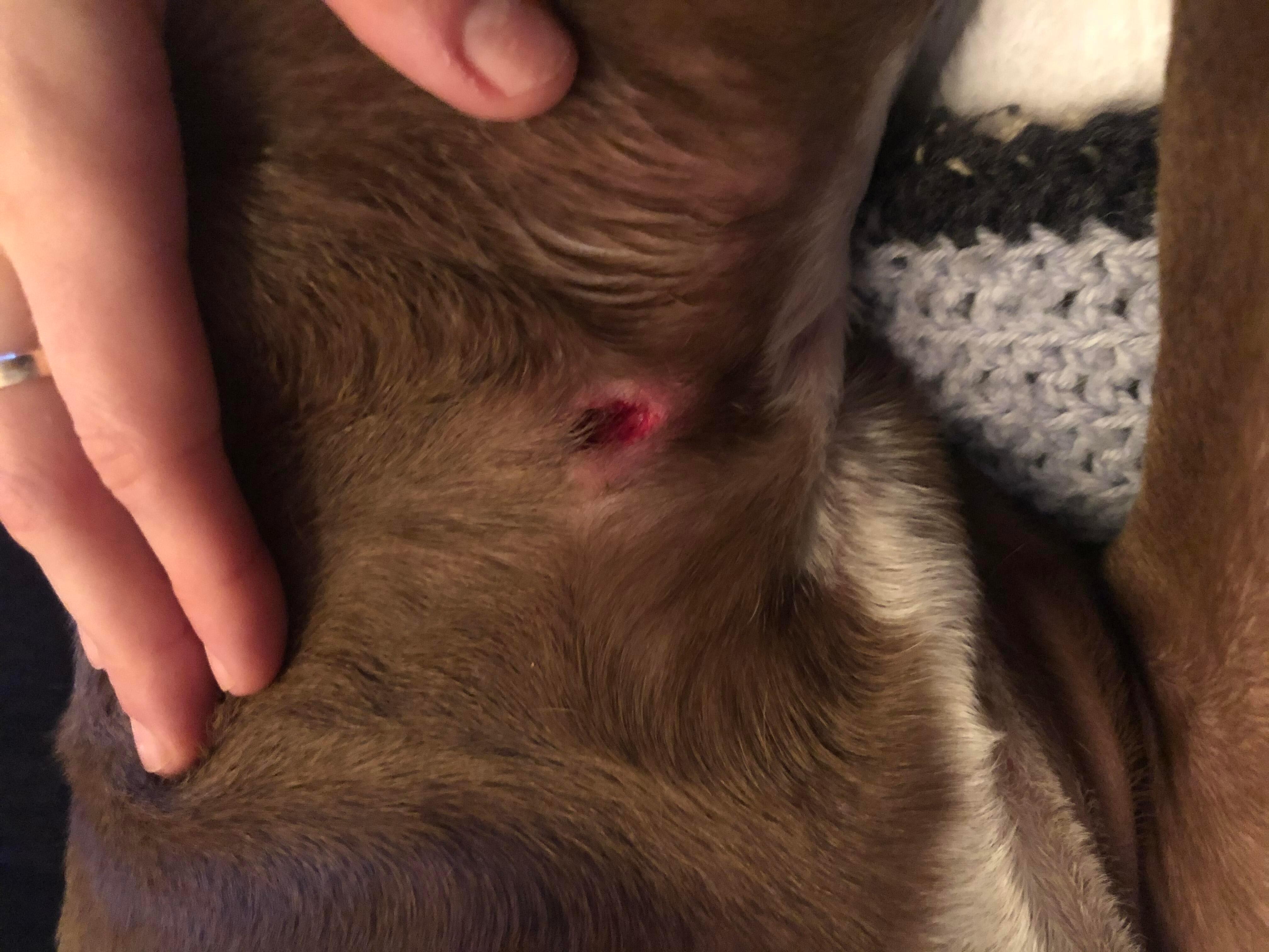 Question details sensitive content