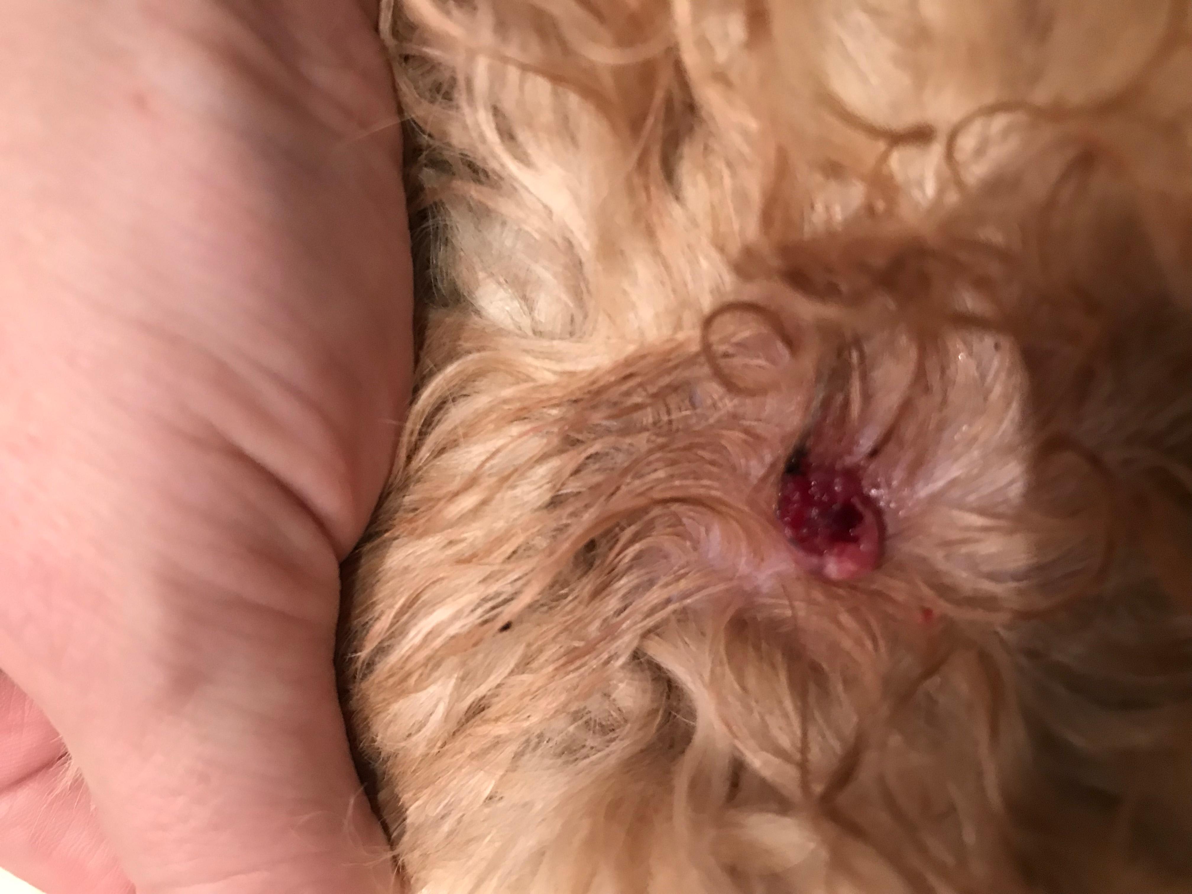 Question details sensitive content