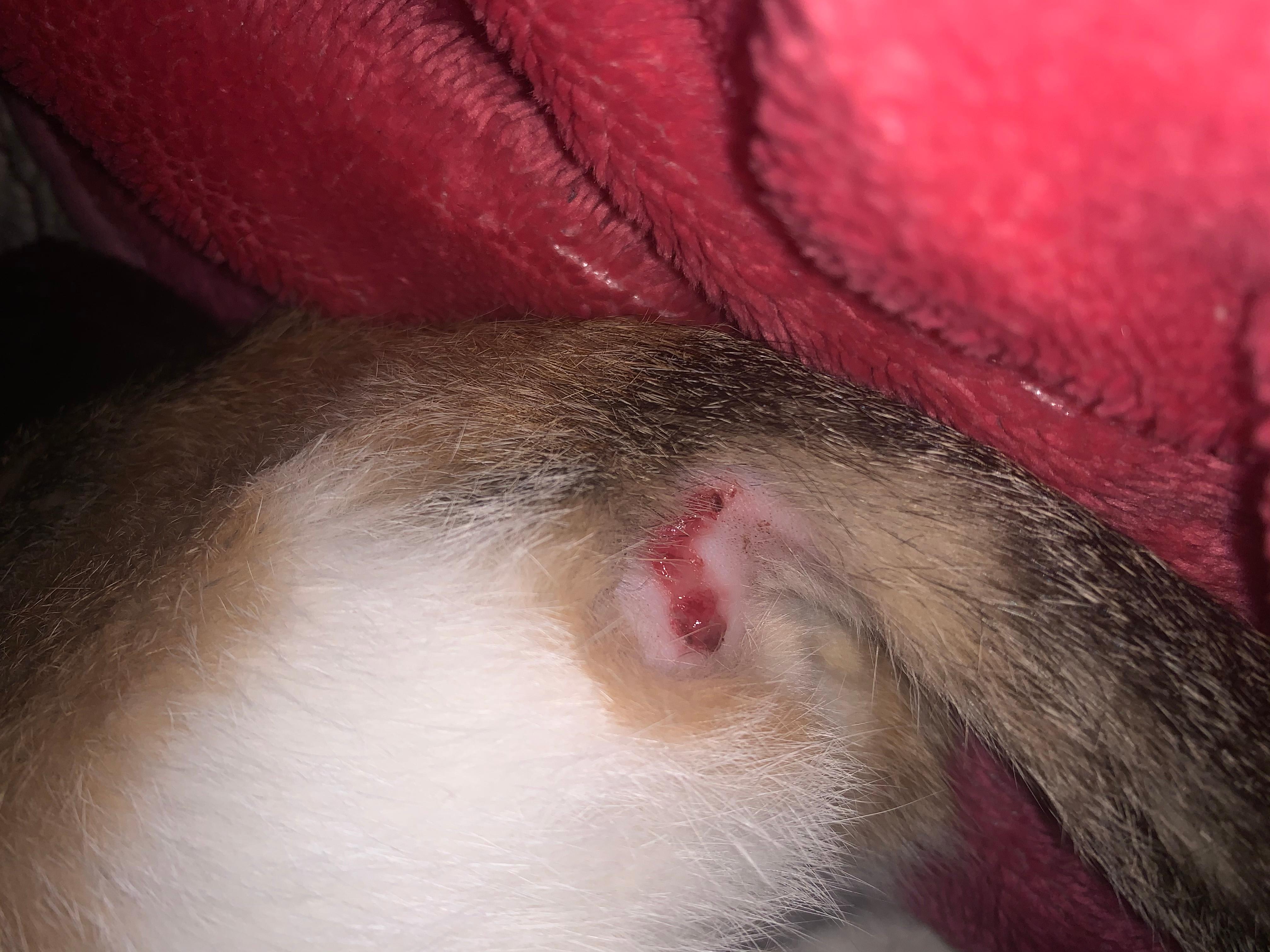 Question details sensitive content