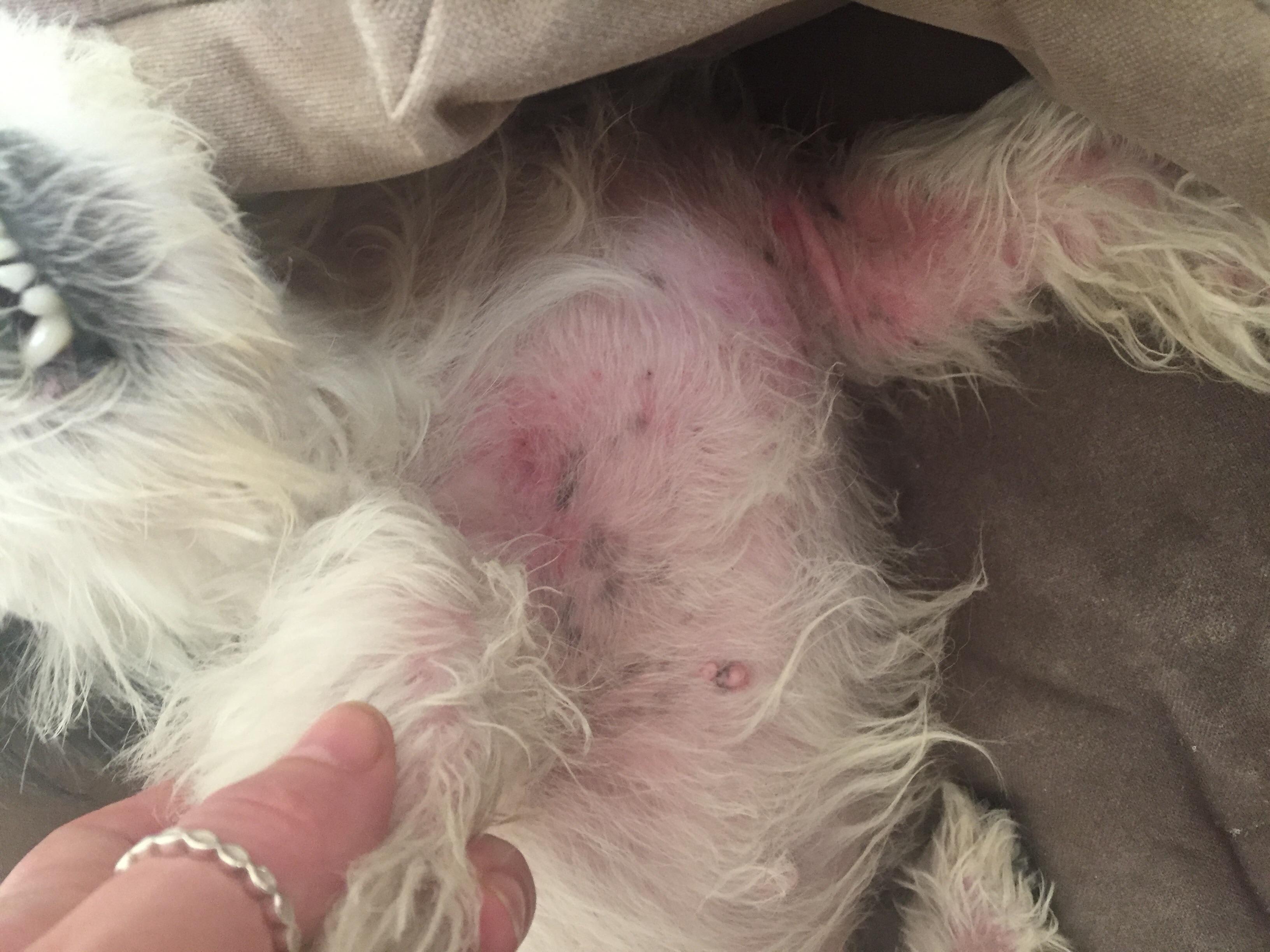 Question details sensitive content