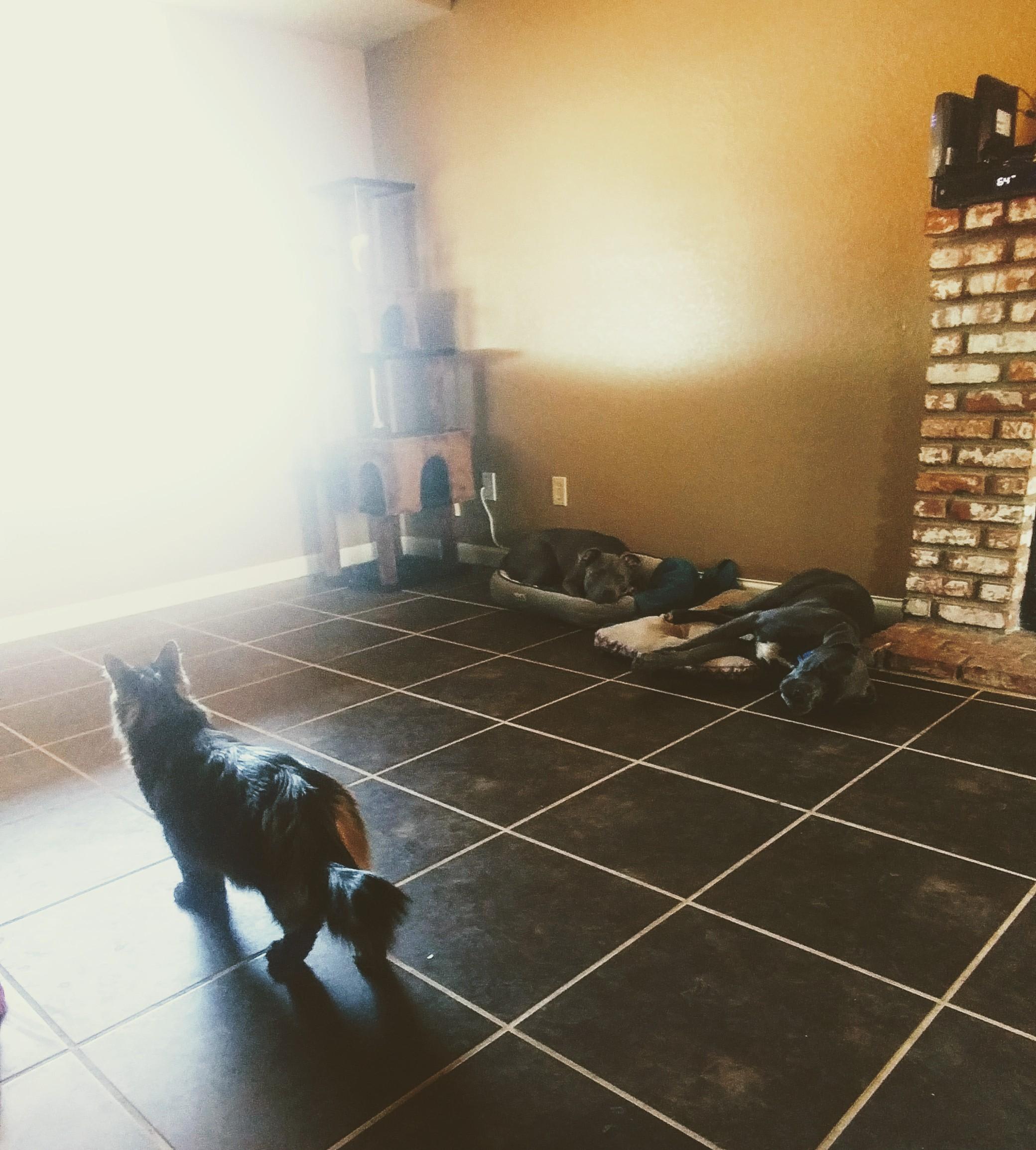 Question details sensitive content