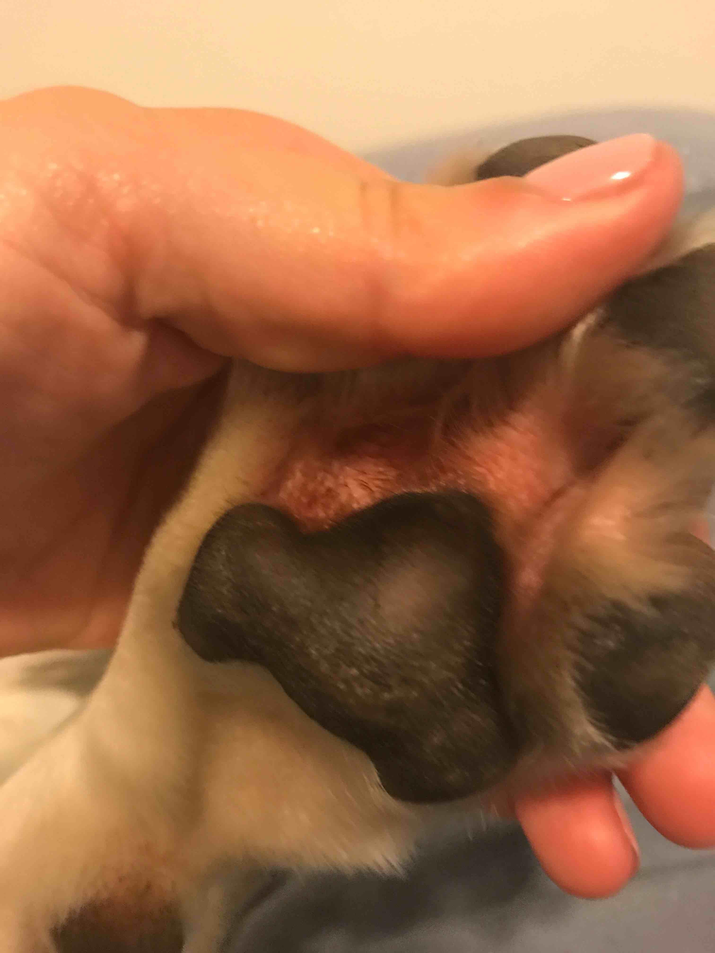 Question details sensitive content