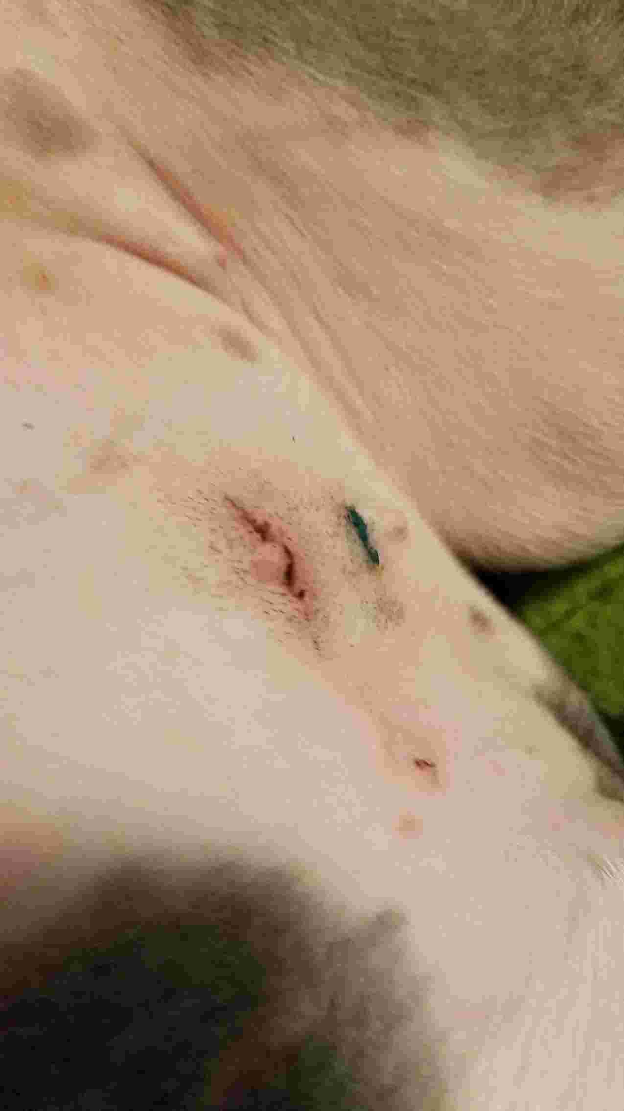 Question details sensitive content