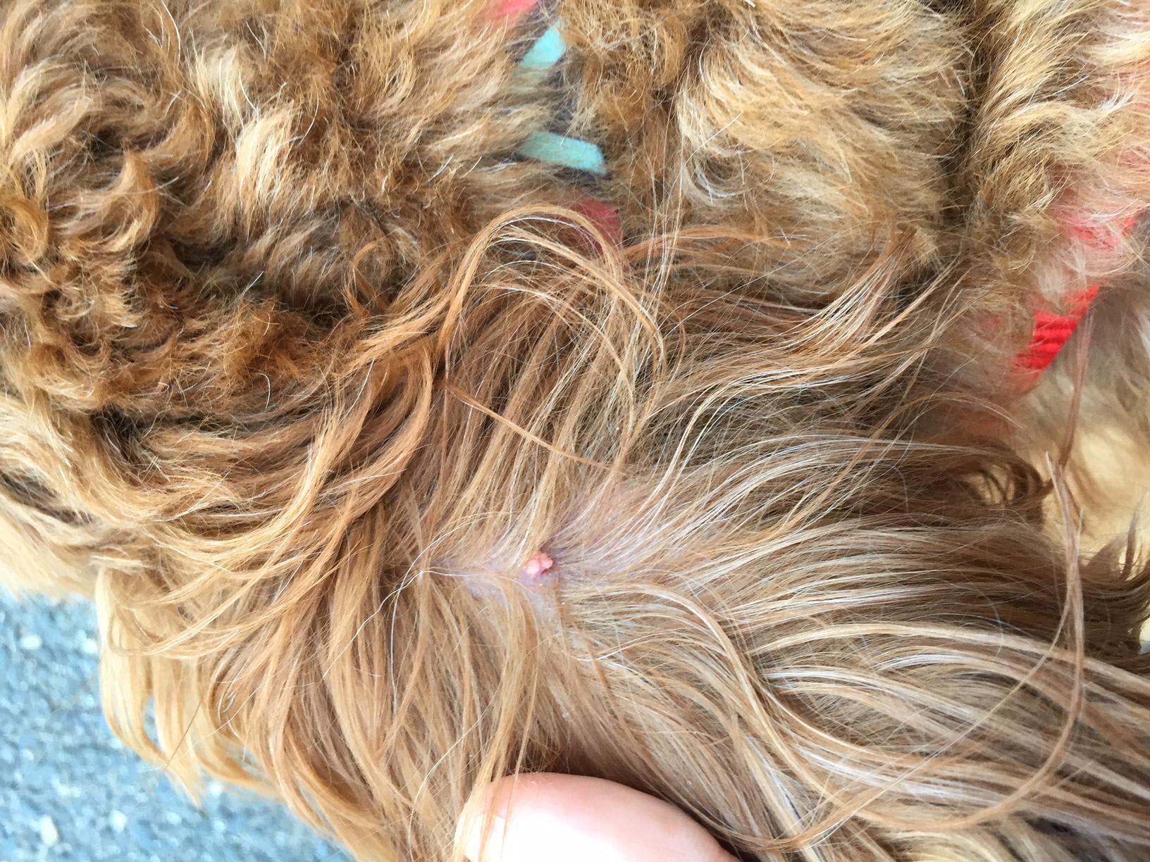 Question details sensitive content