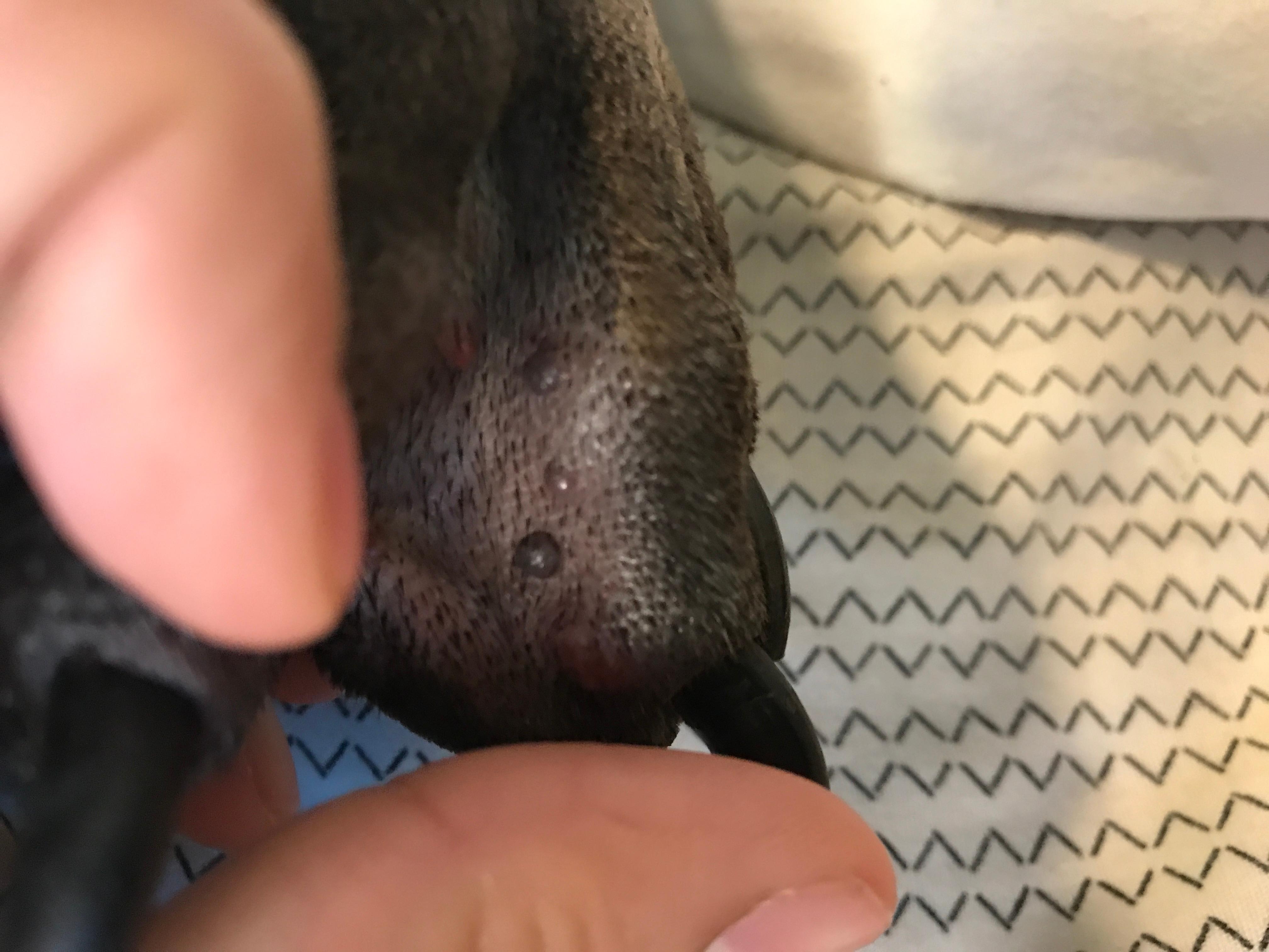 Question details sensitive content