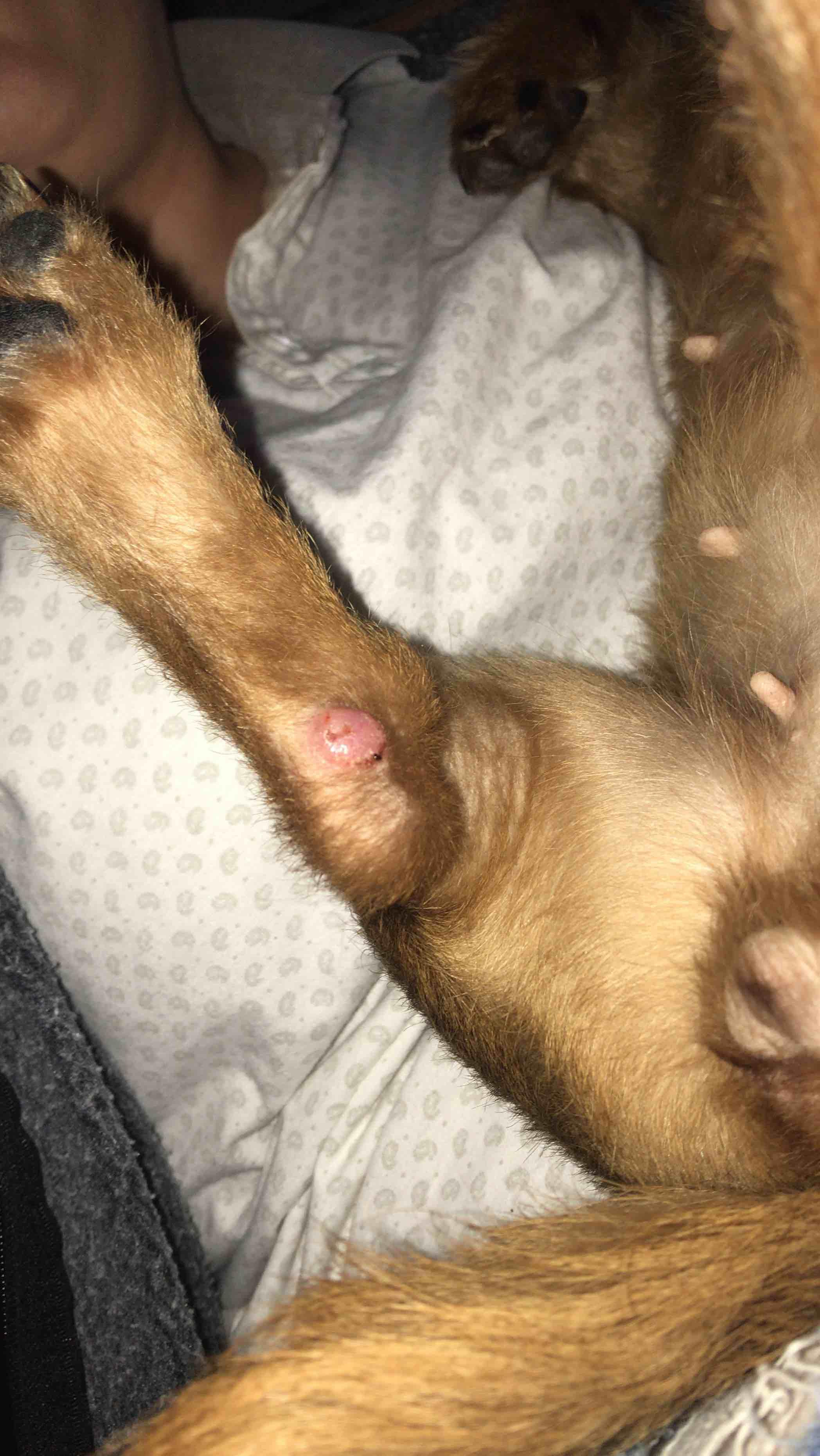 Question details sensitive content