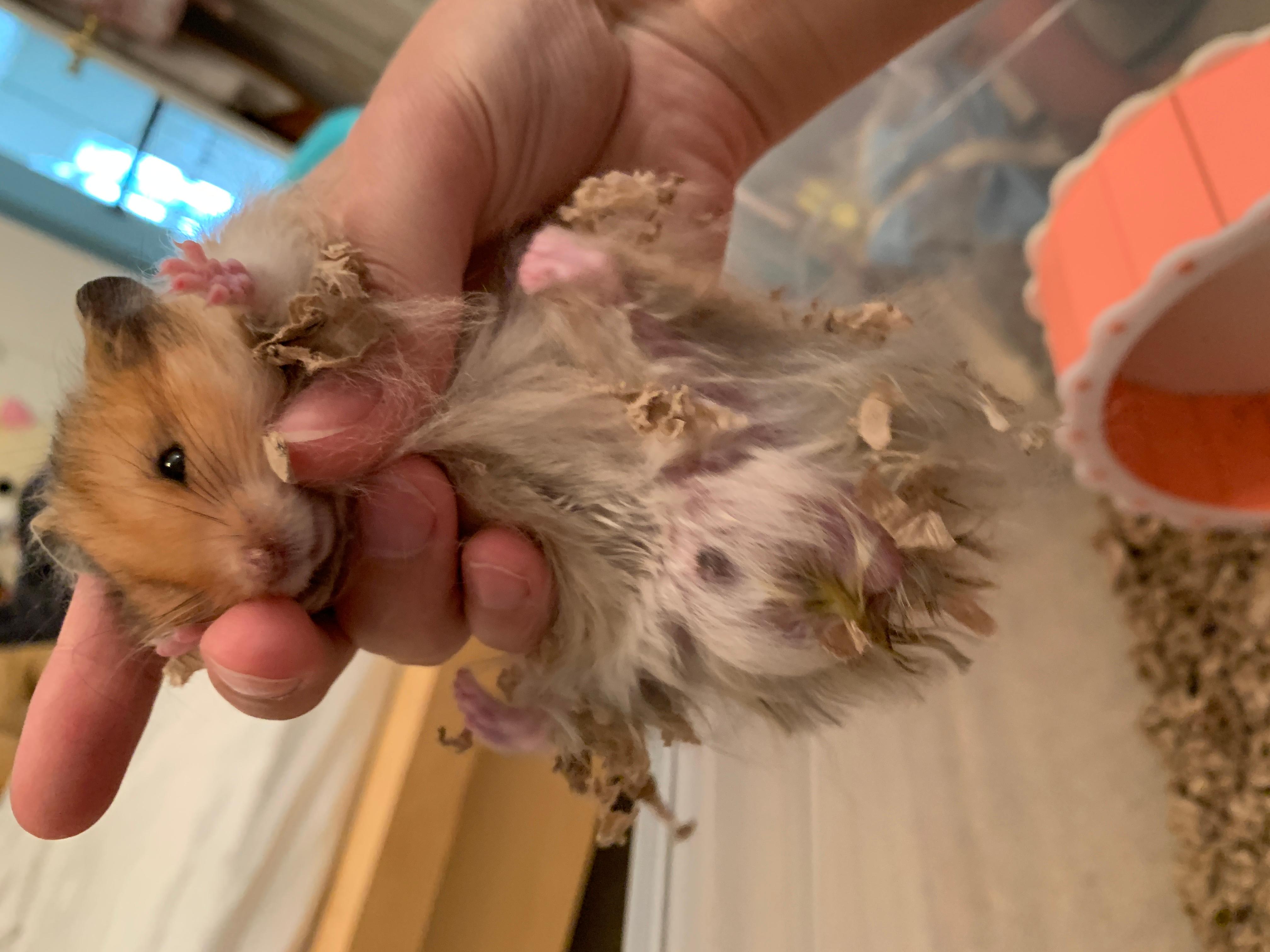 Question details sensitive content