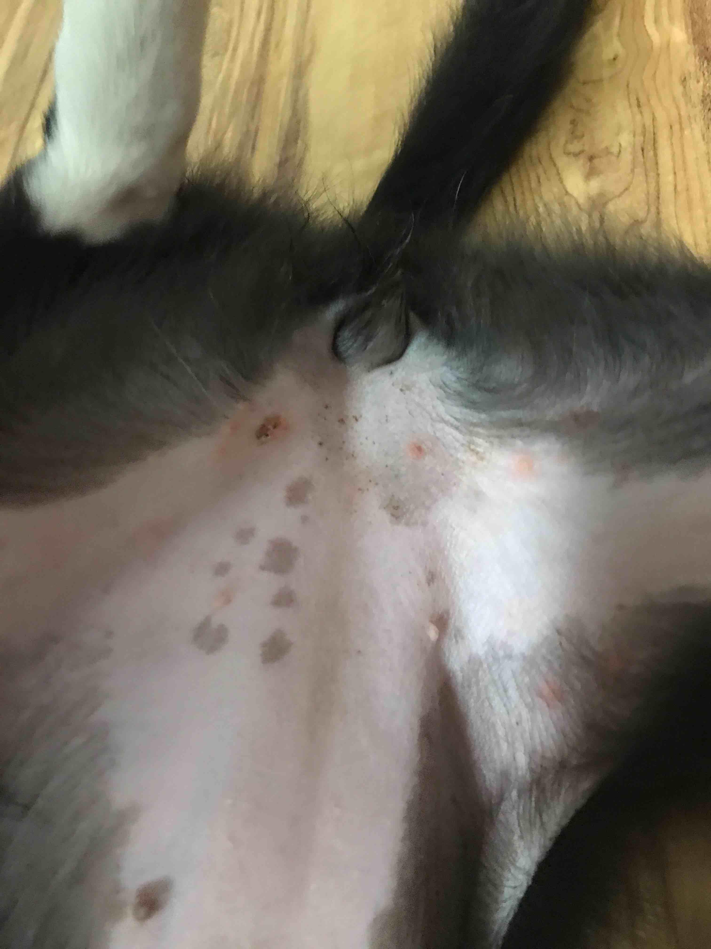 Question details sensitive content