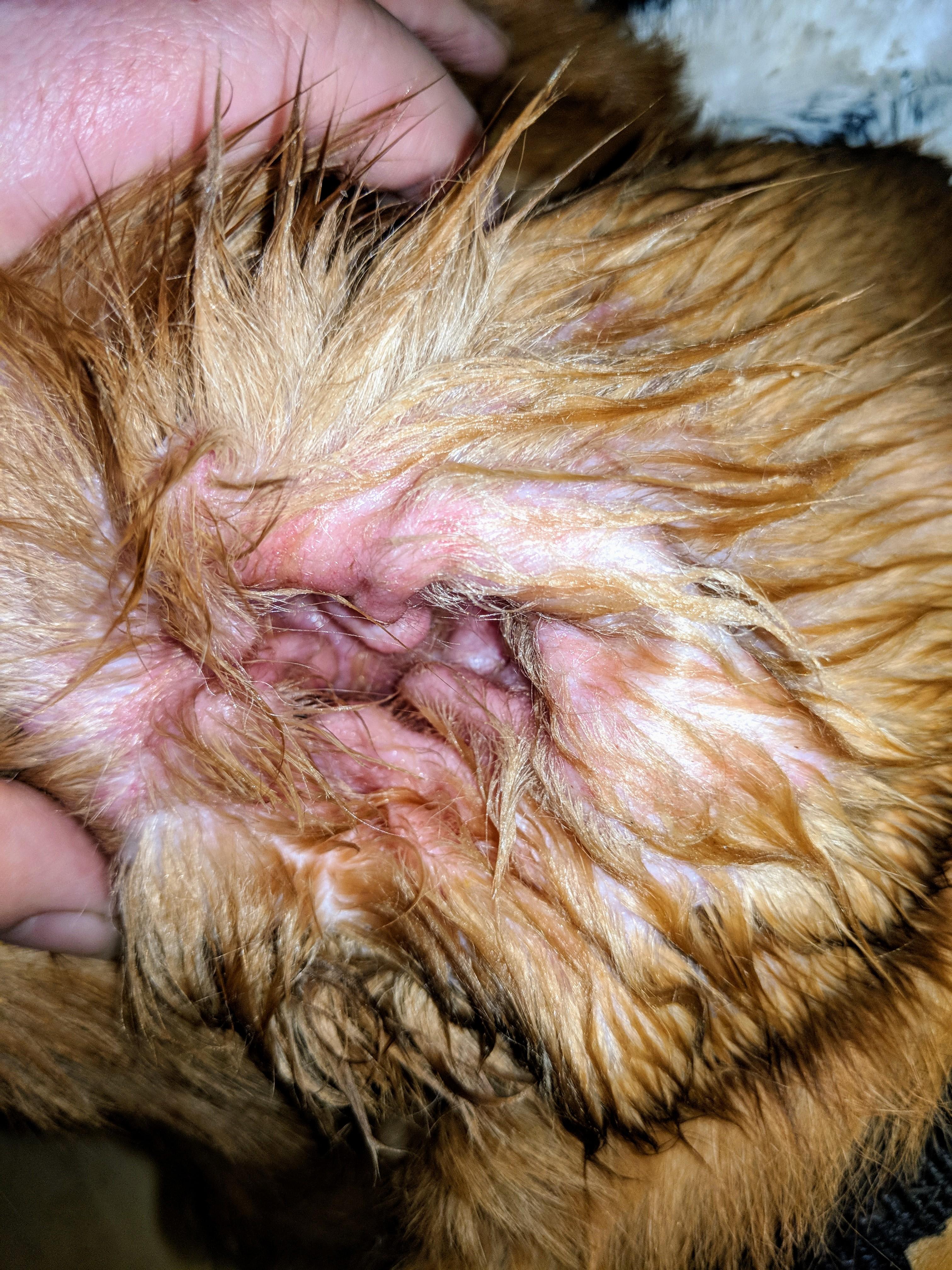 Question details sensitive content