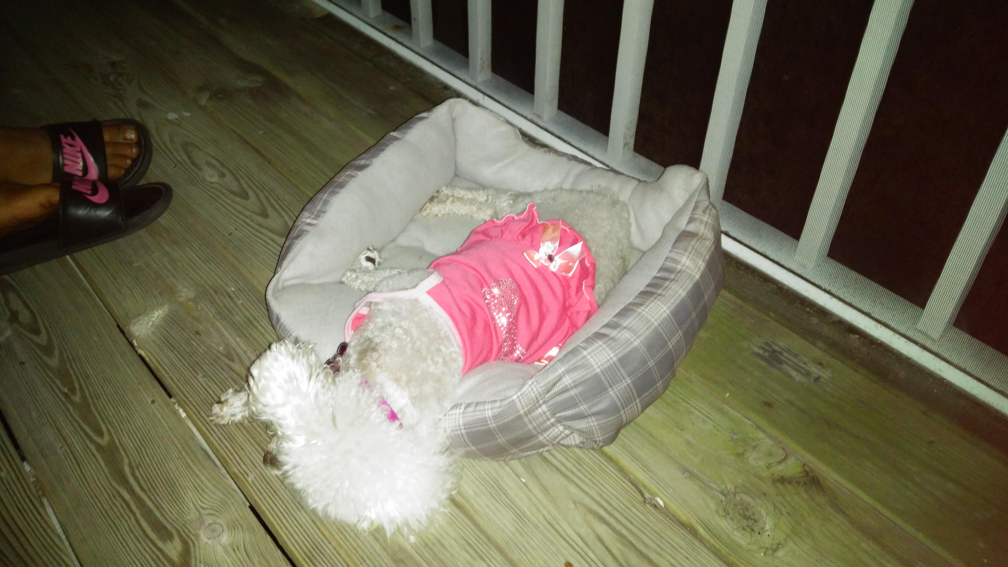 Question details sensitive content