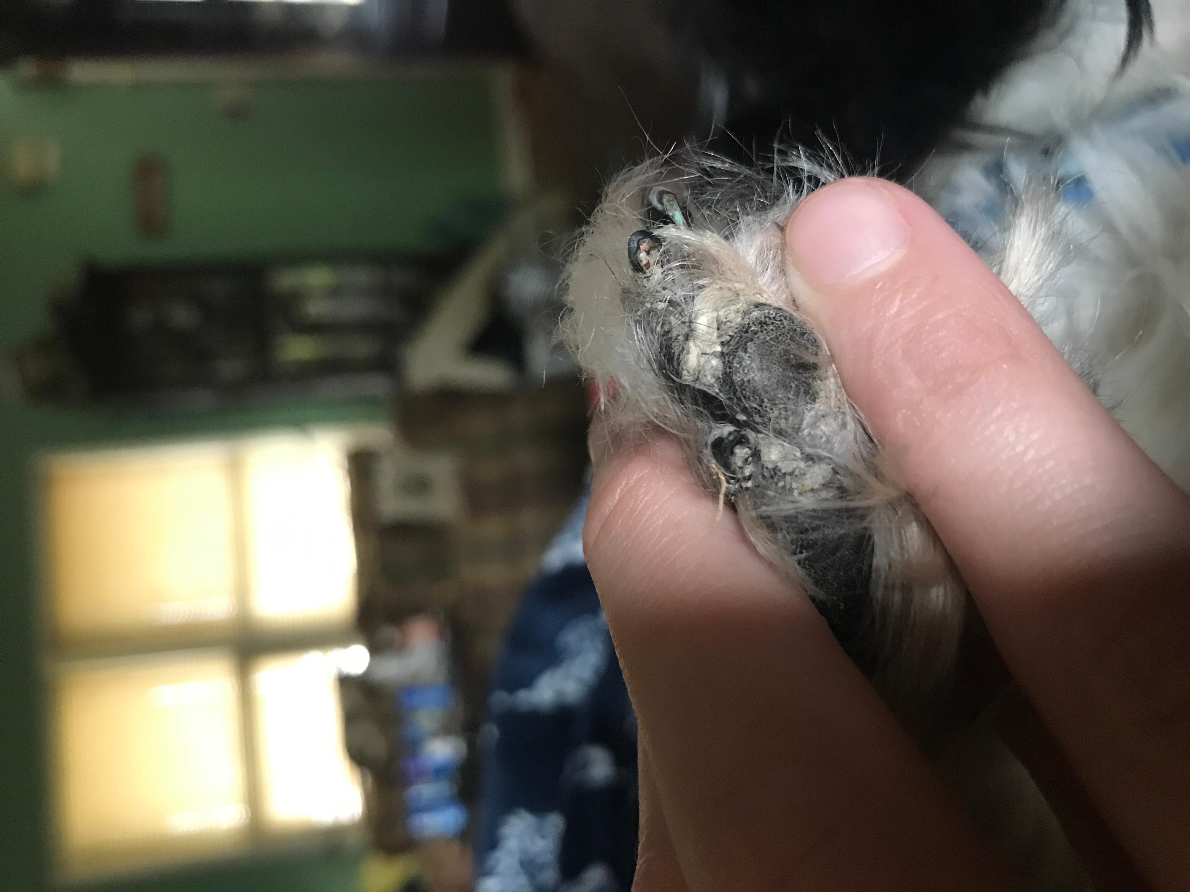 Question details sensitive content