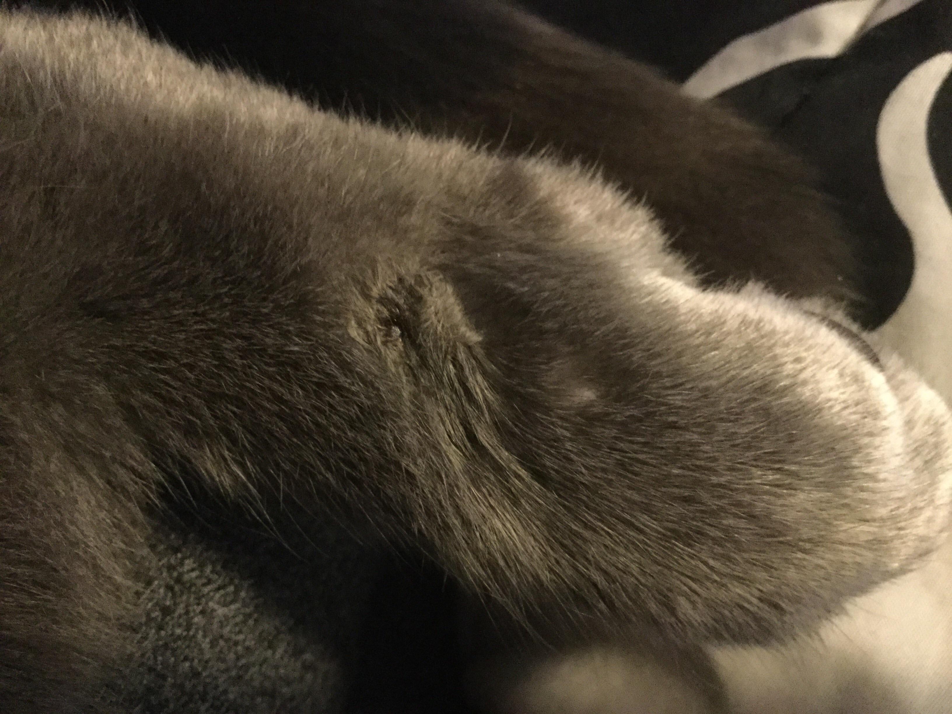 Question details sensitive content