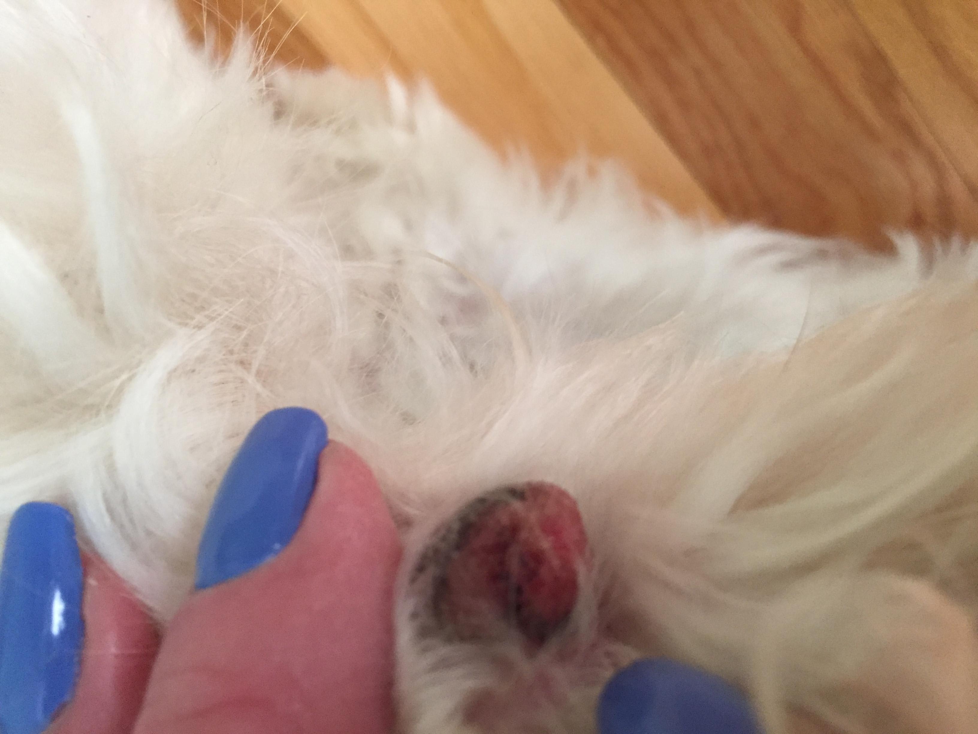 Question details sensitive content