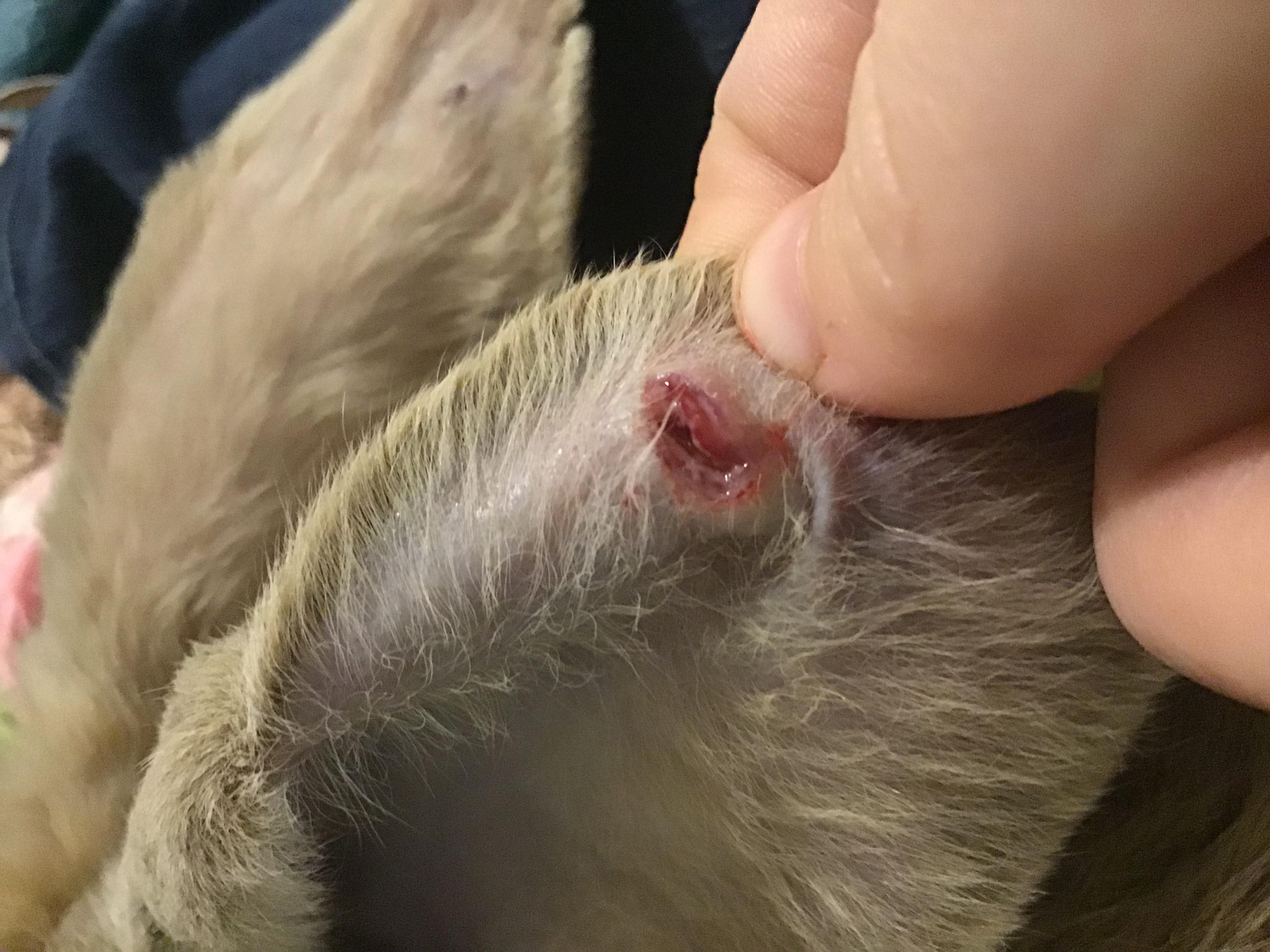 Question details sensitive content