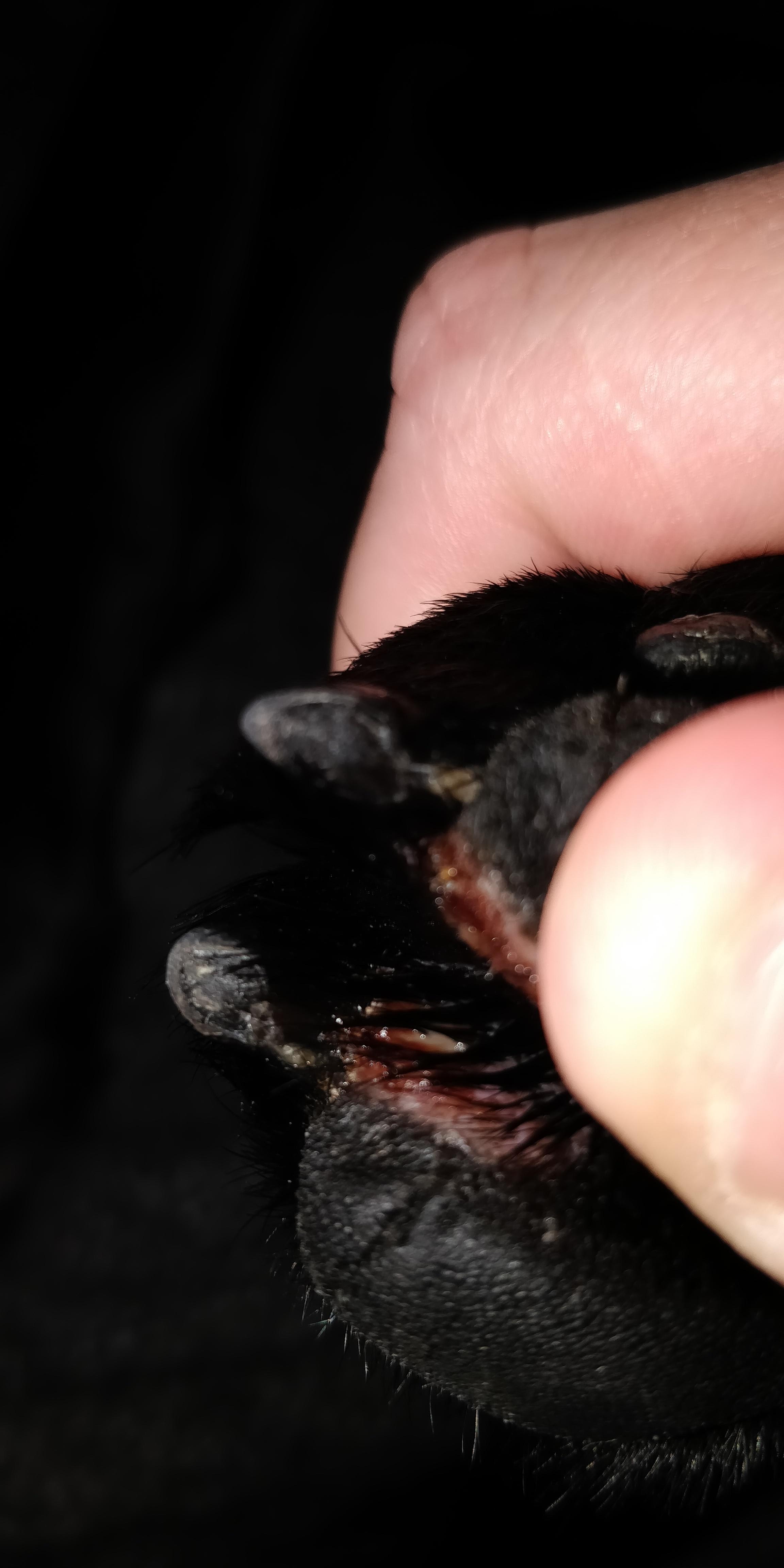 Question details sensitive content