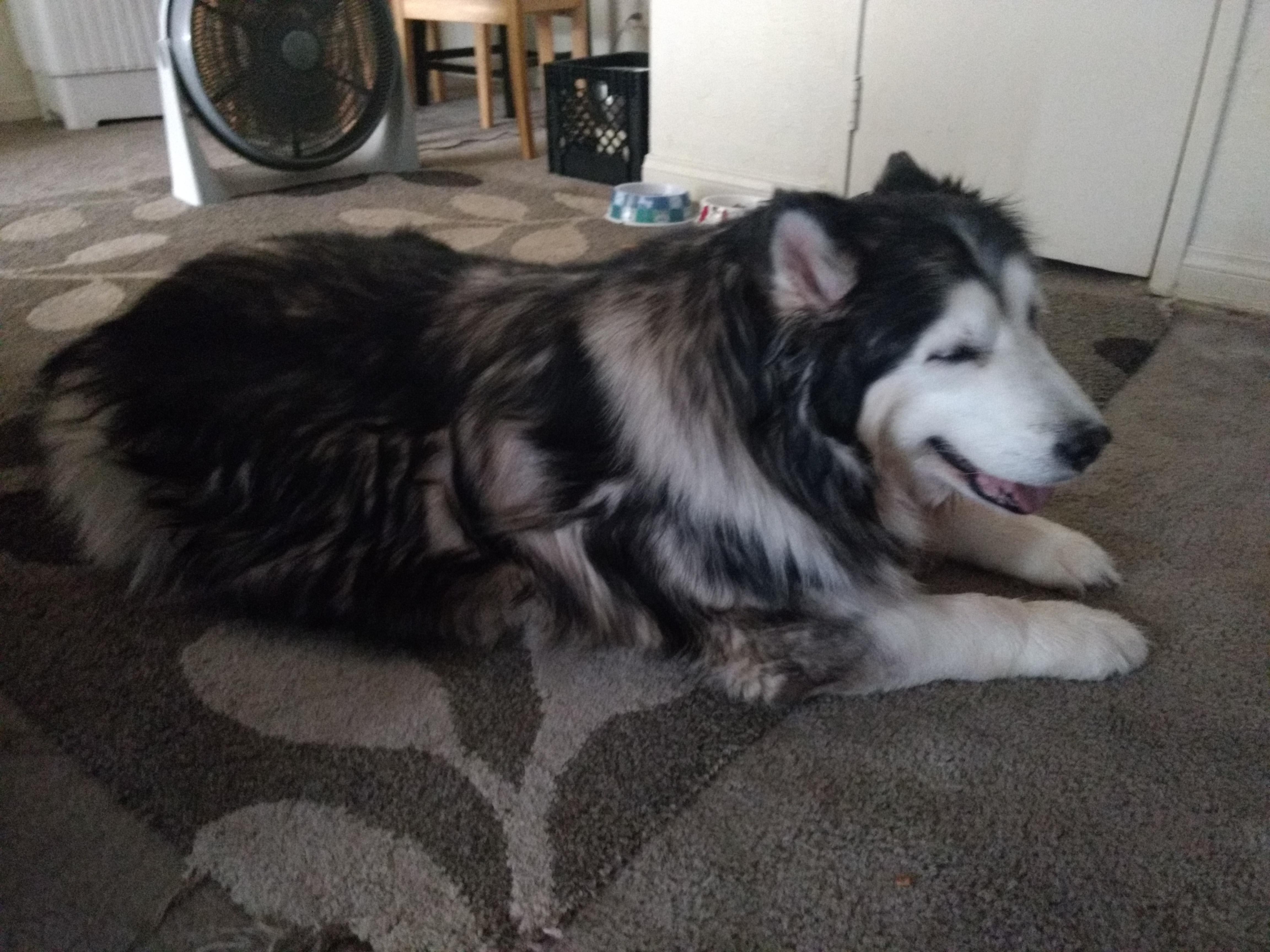 Question details sensitive content