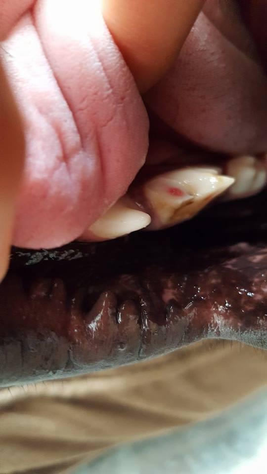 Question details sensitive content