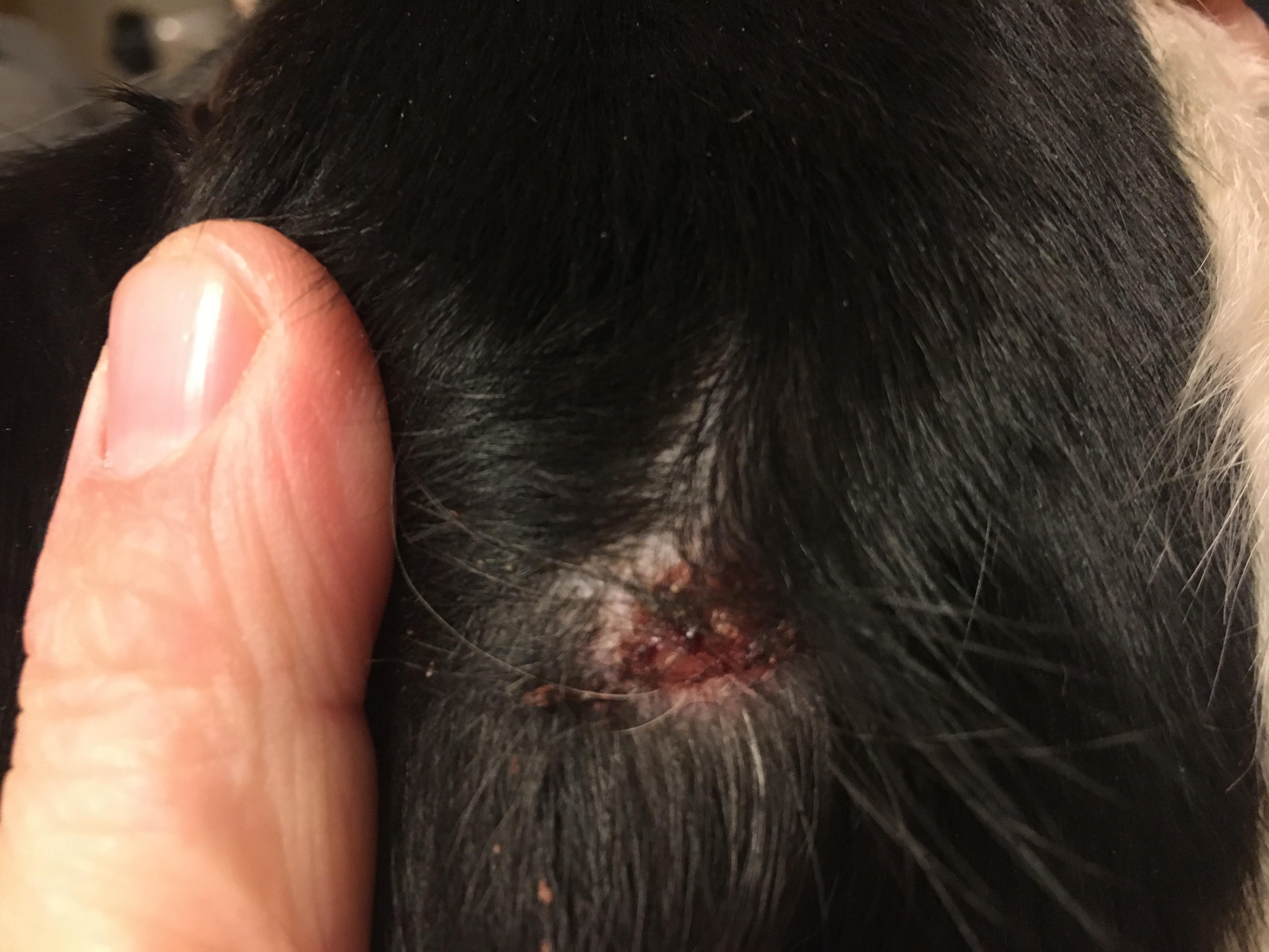 Question details sensitive content