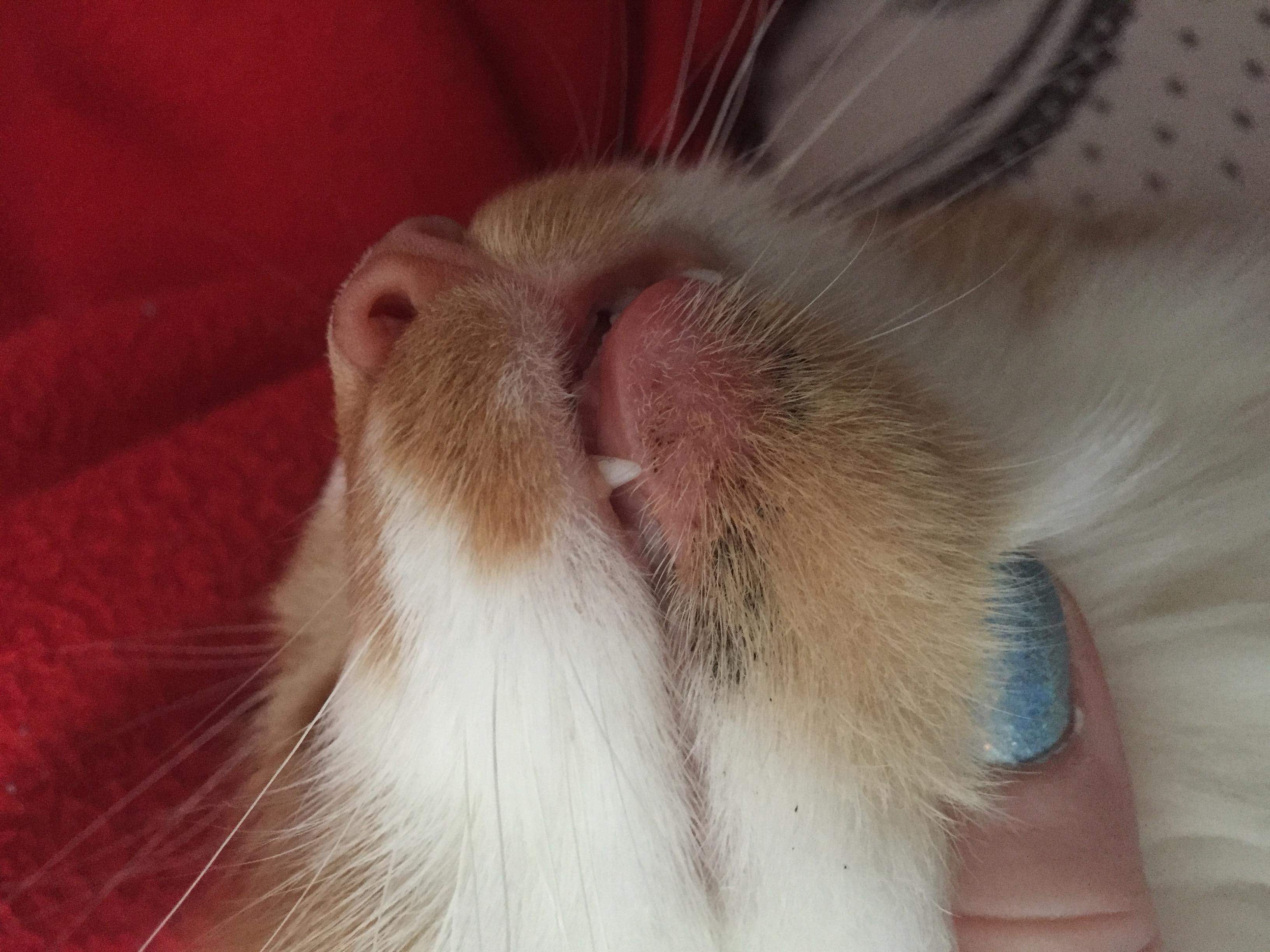 Question details sensitive content