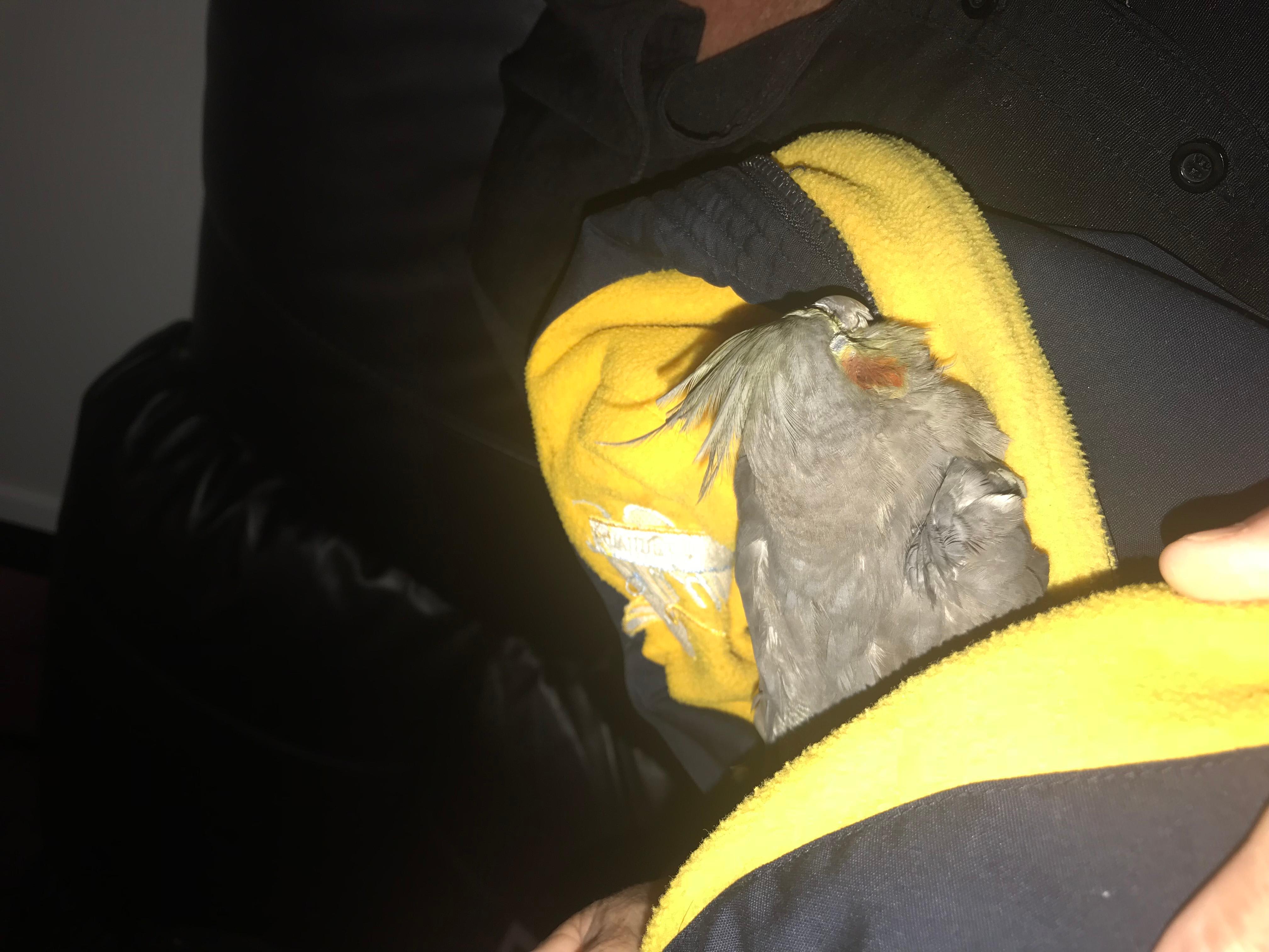 Question details sensitive content