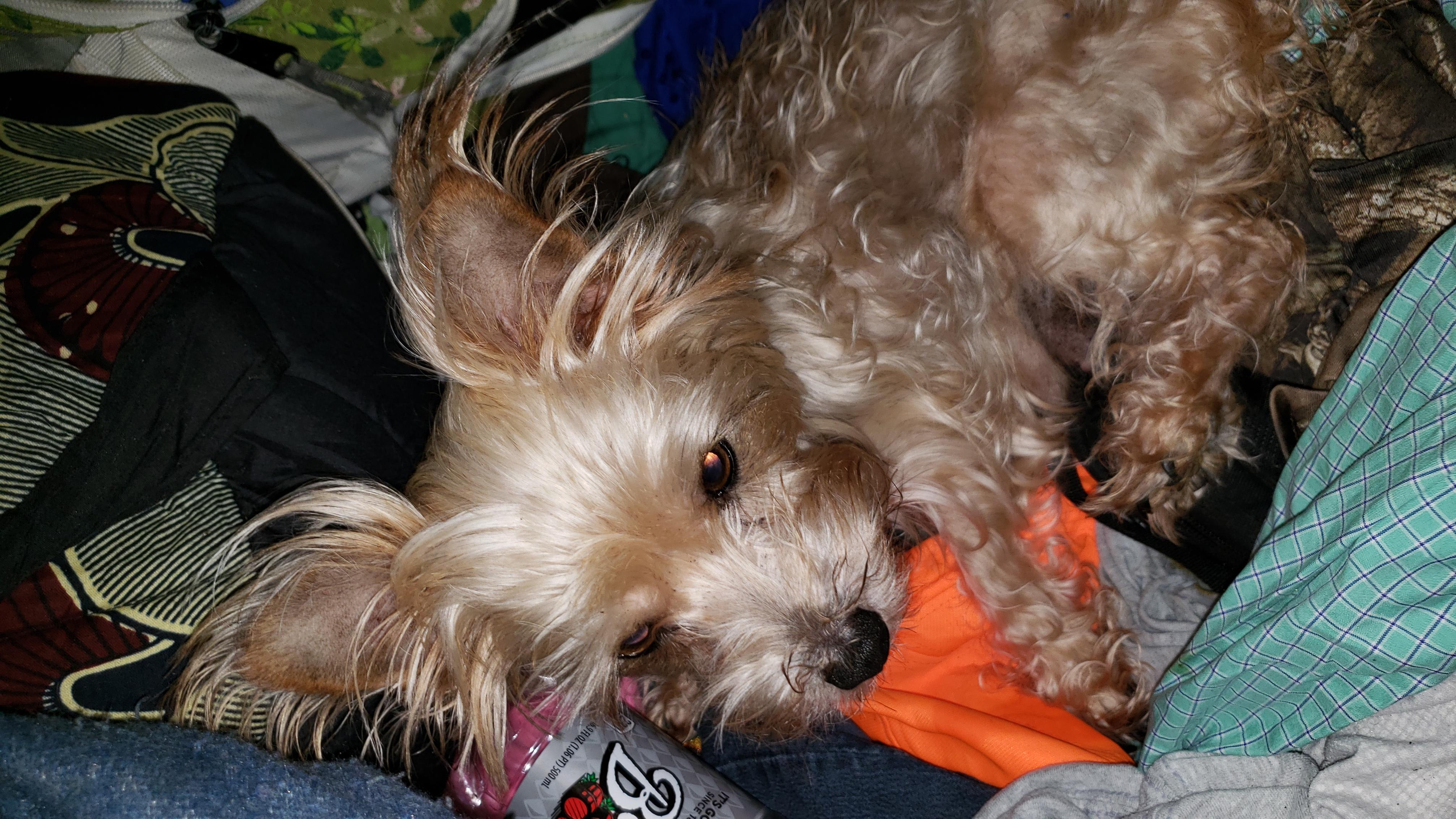 Question details sensitive content