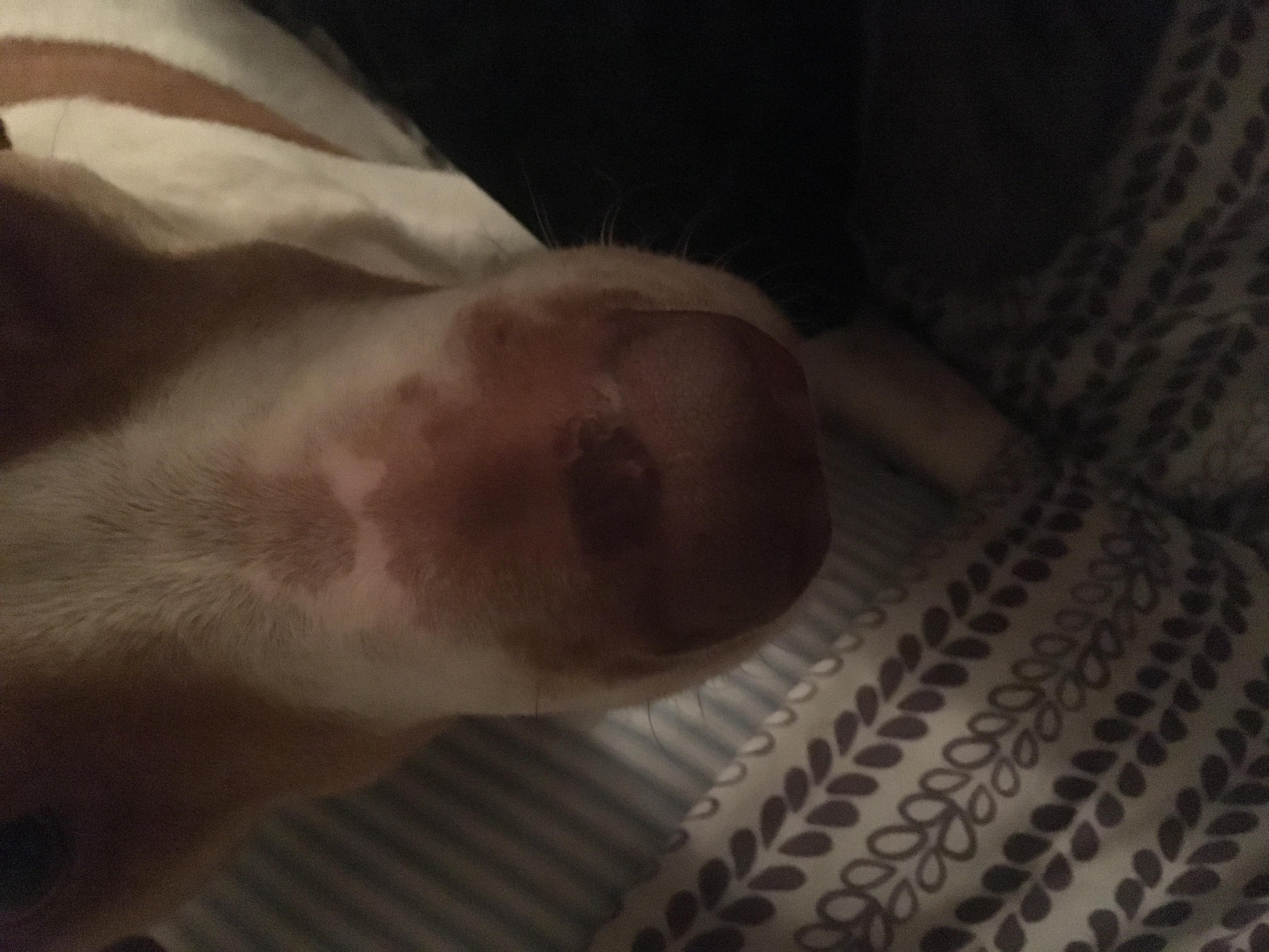 Question details sensitive content