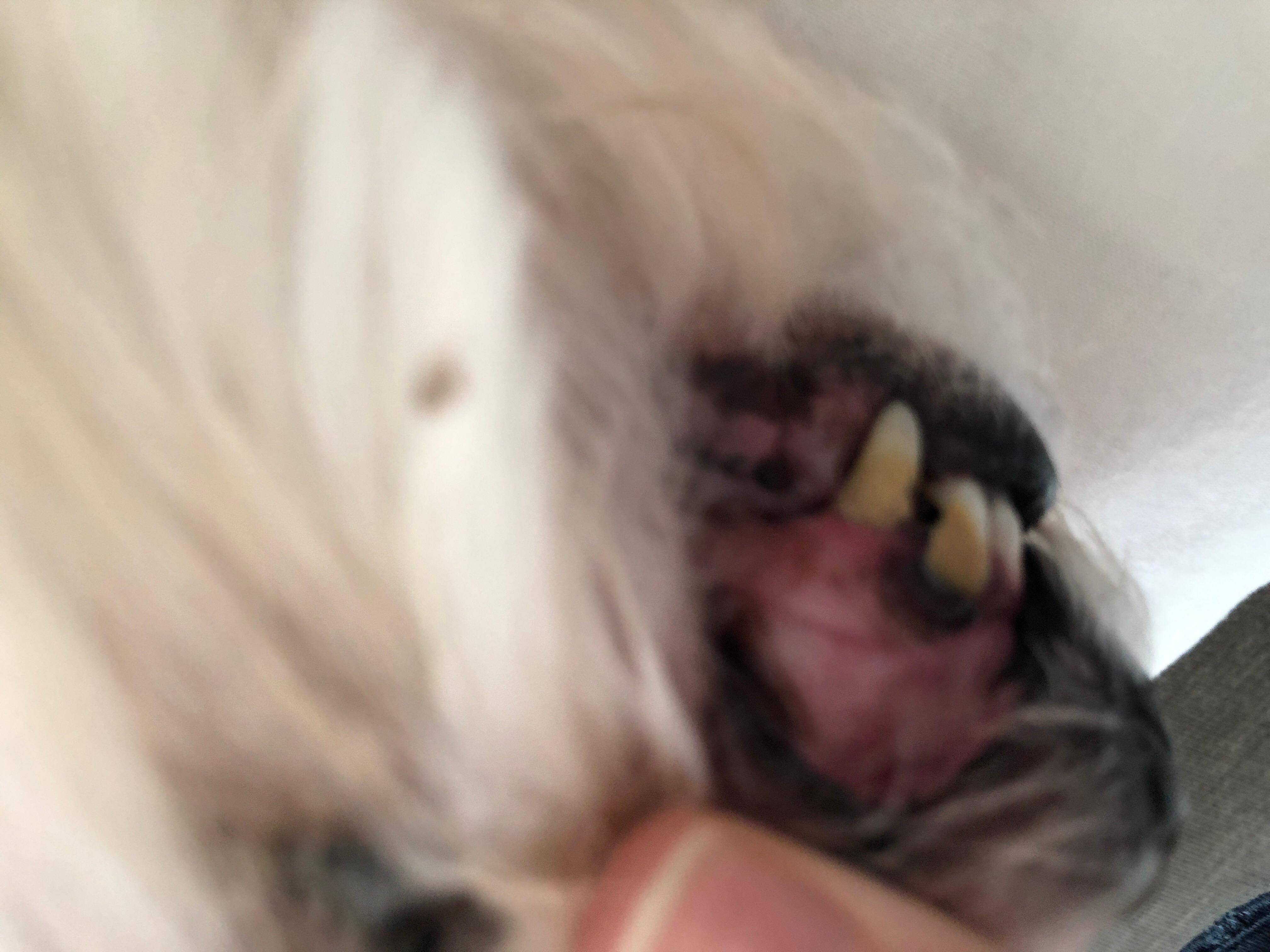 Question details sensitive content