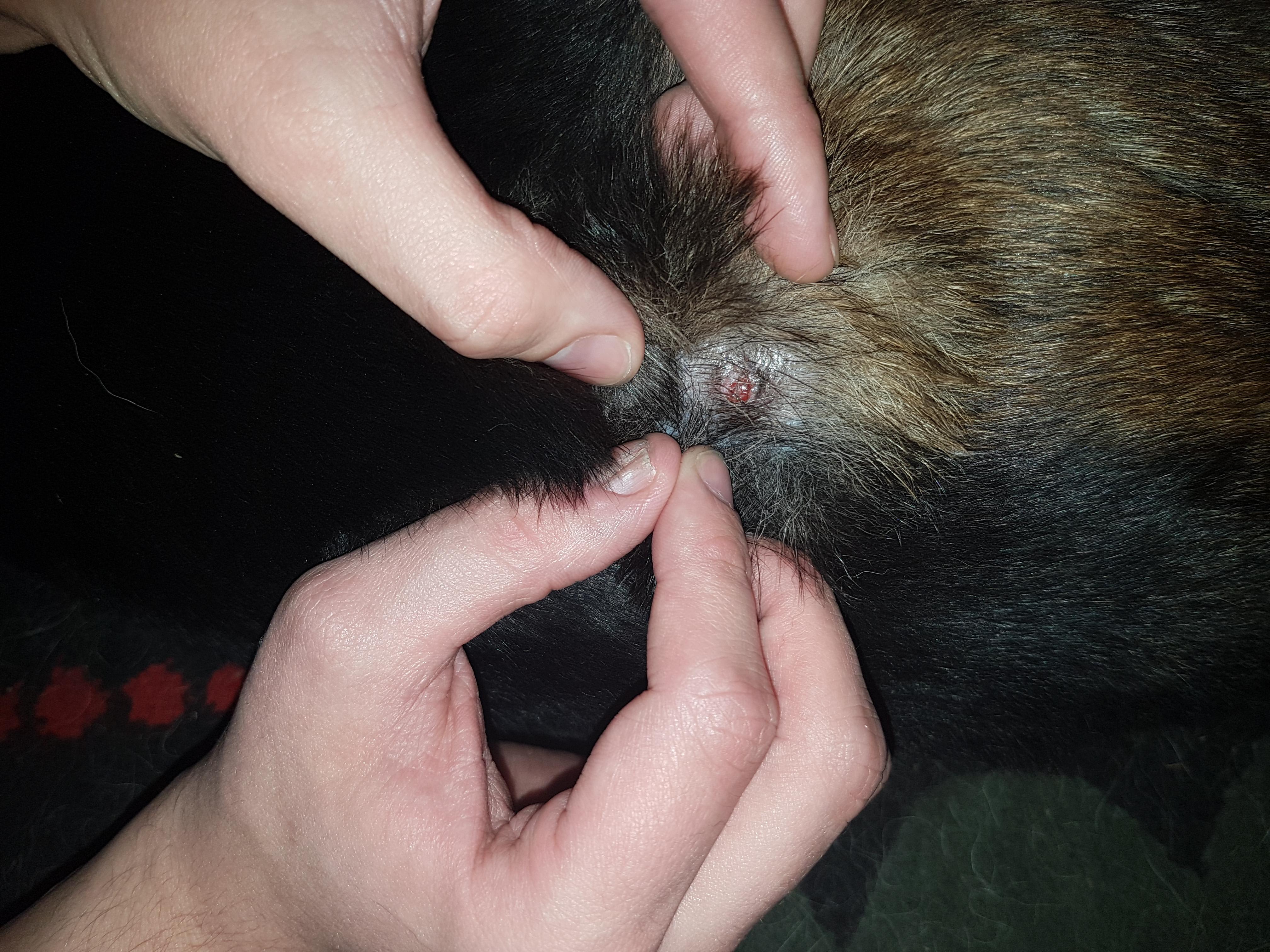 Question details sensitive content