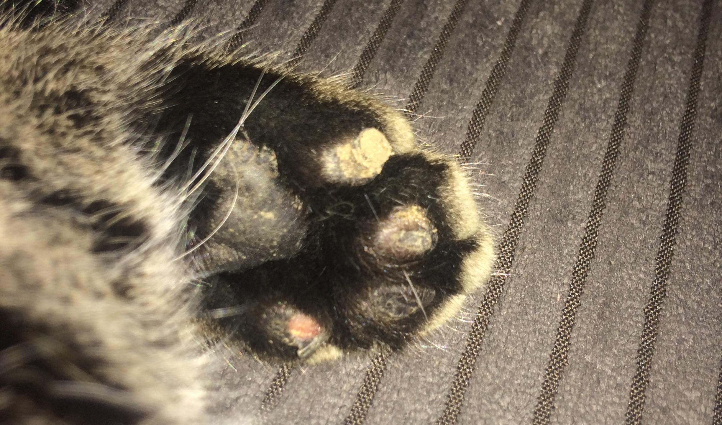 Question details sensitive content