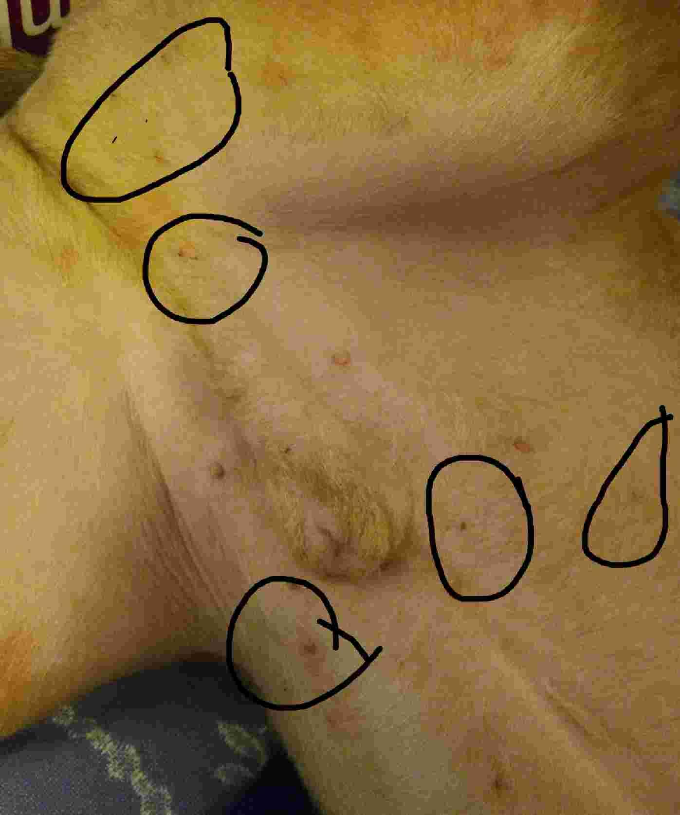 Question details sensitive content