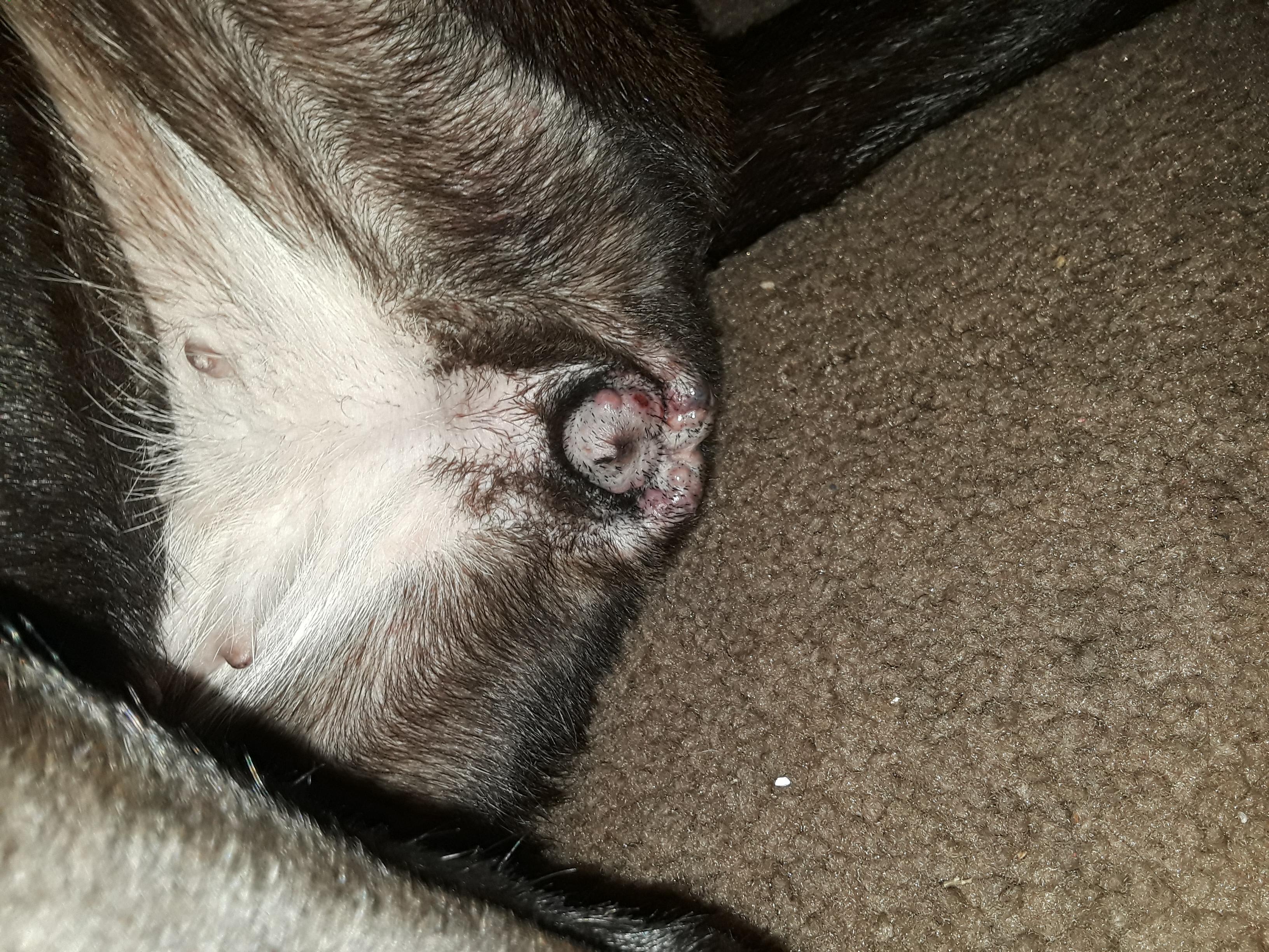 Question details sensitive content