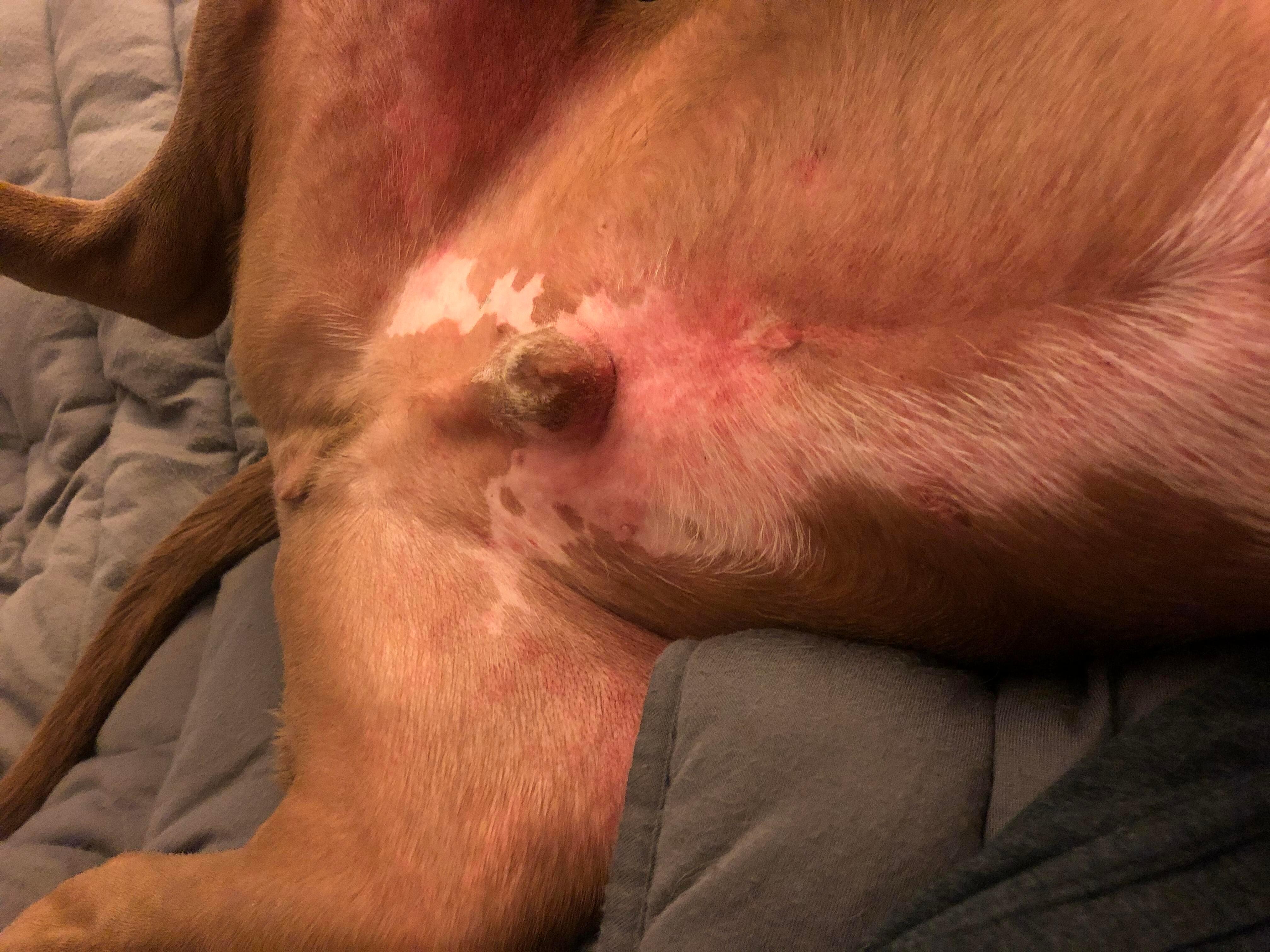 Question details sensitive content