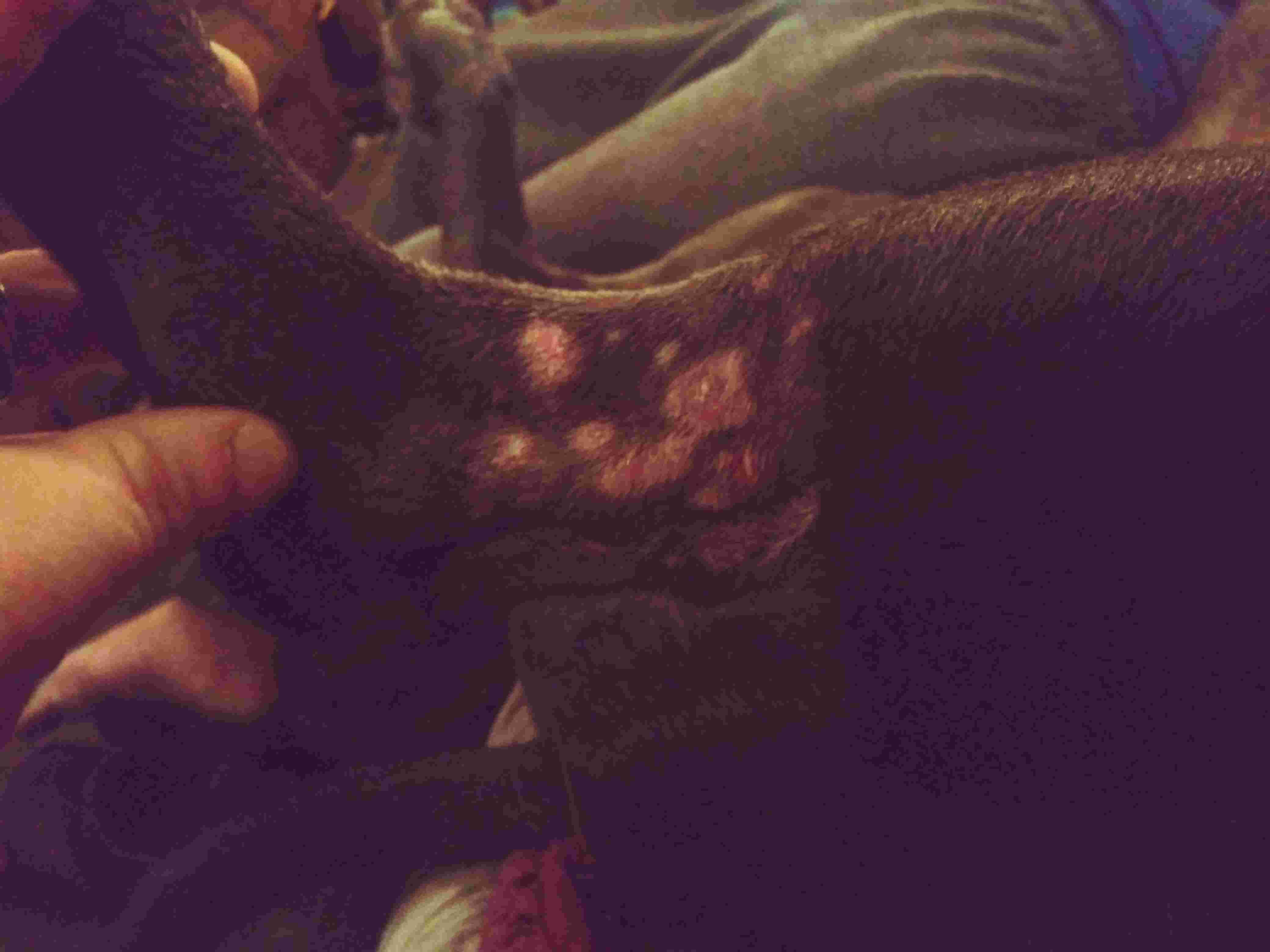 Question details sensitive content