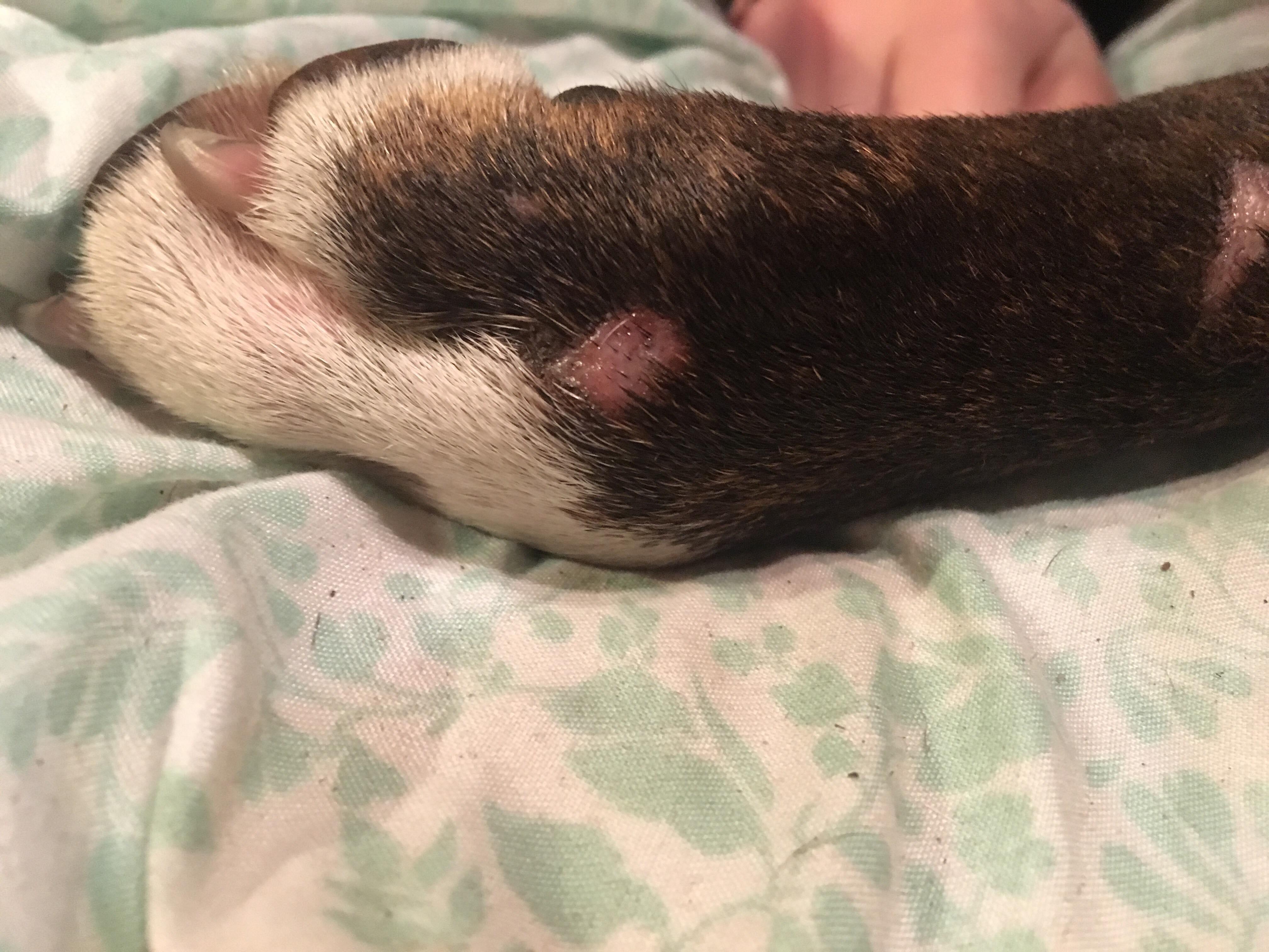 Question details sensitive content