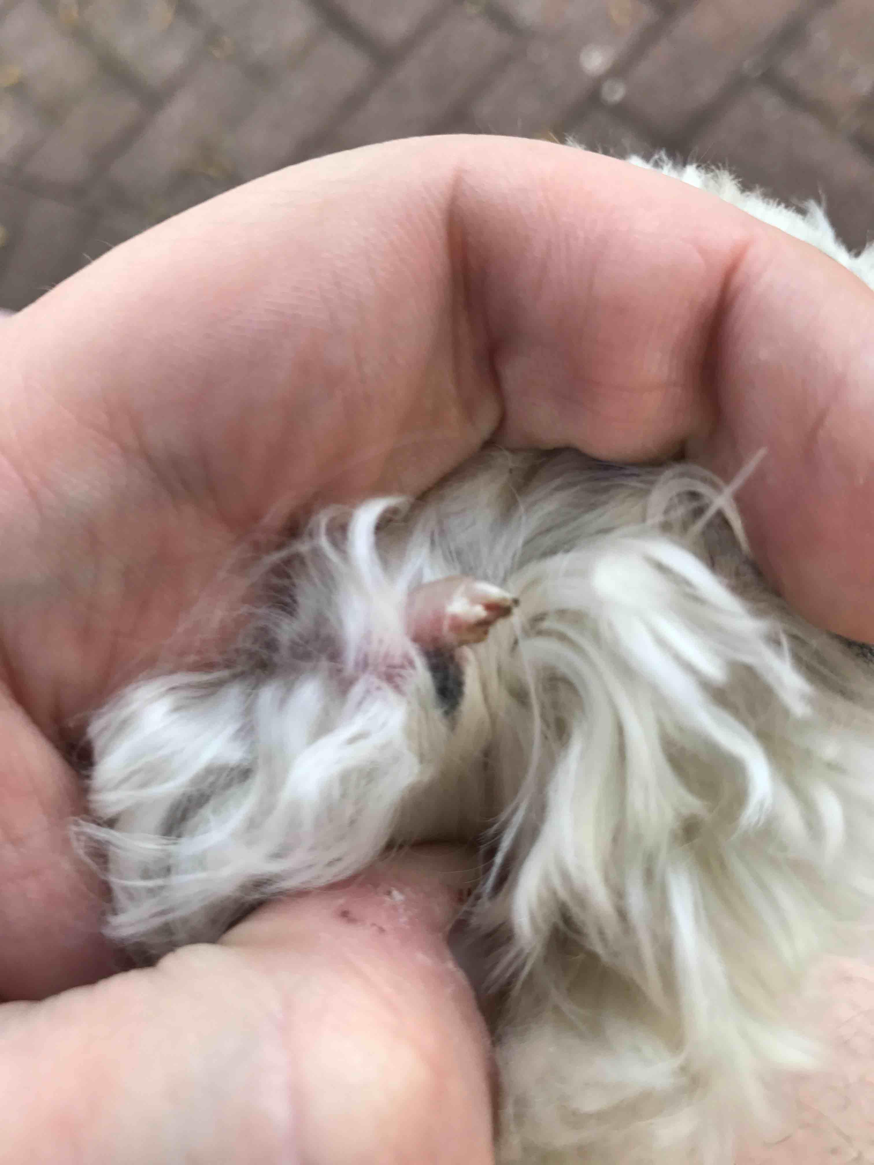 Question details sensitive content