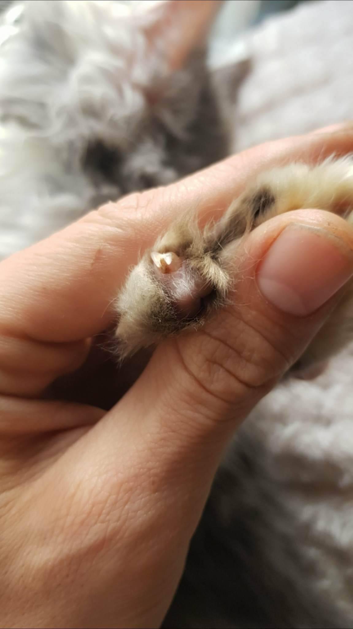 Question details sensitive content