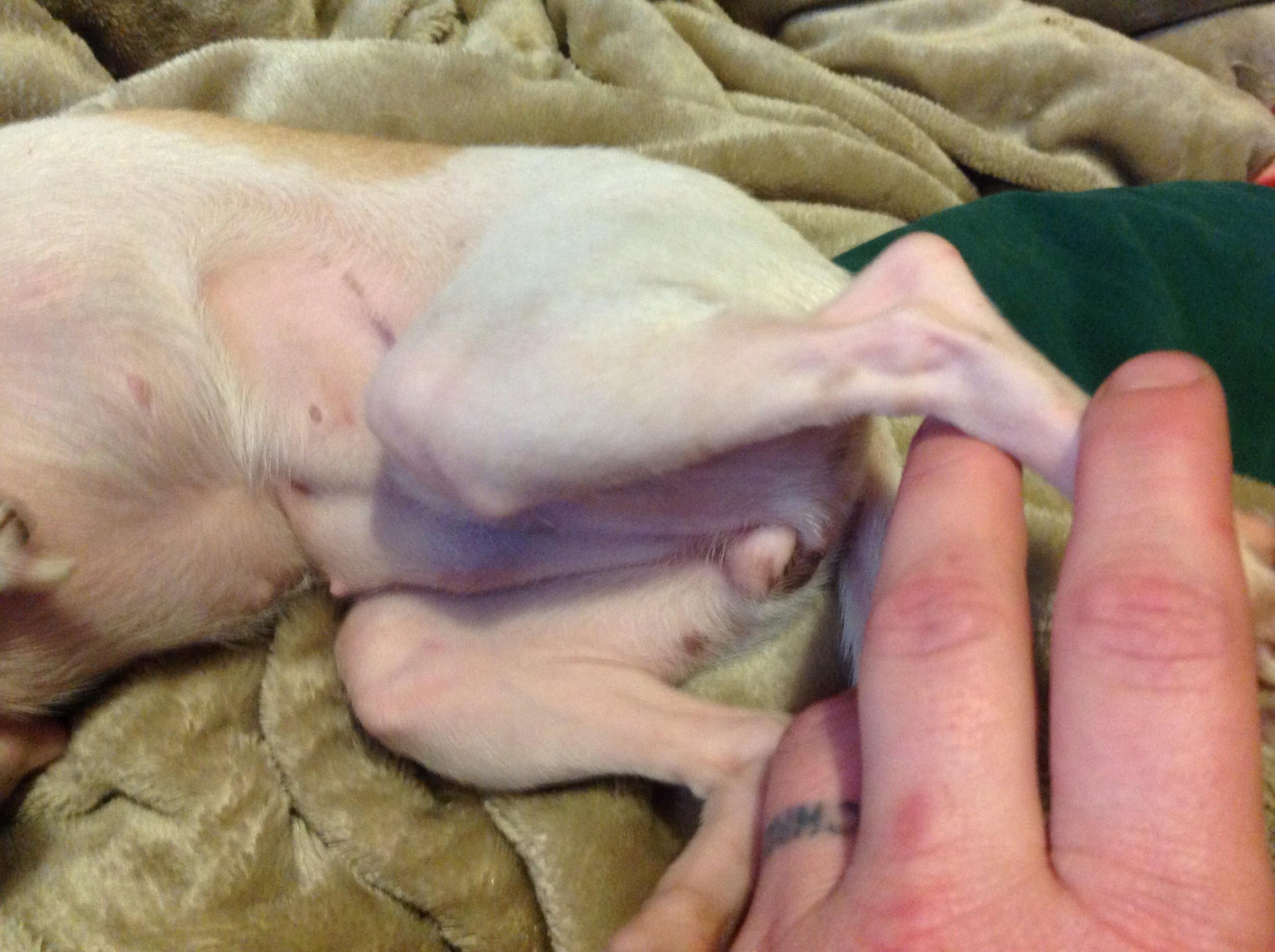 Question details sensitive content