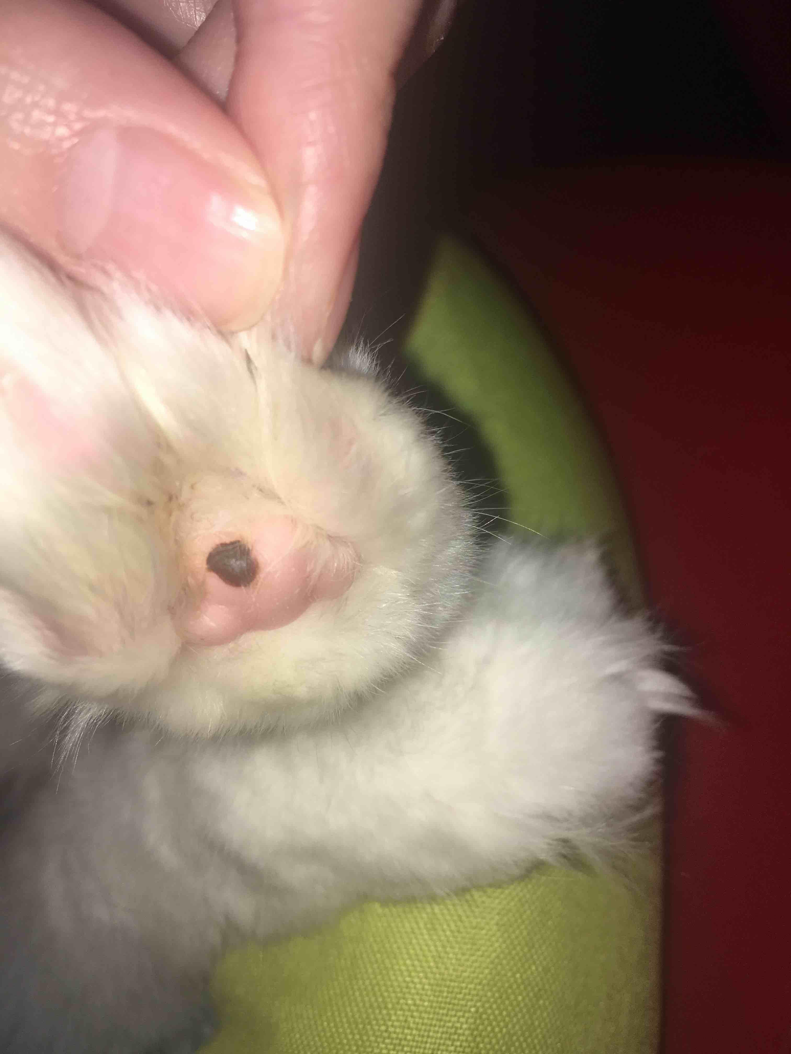 Question details sensitive content