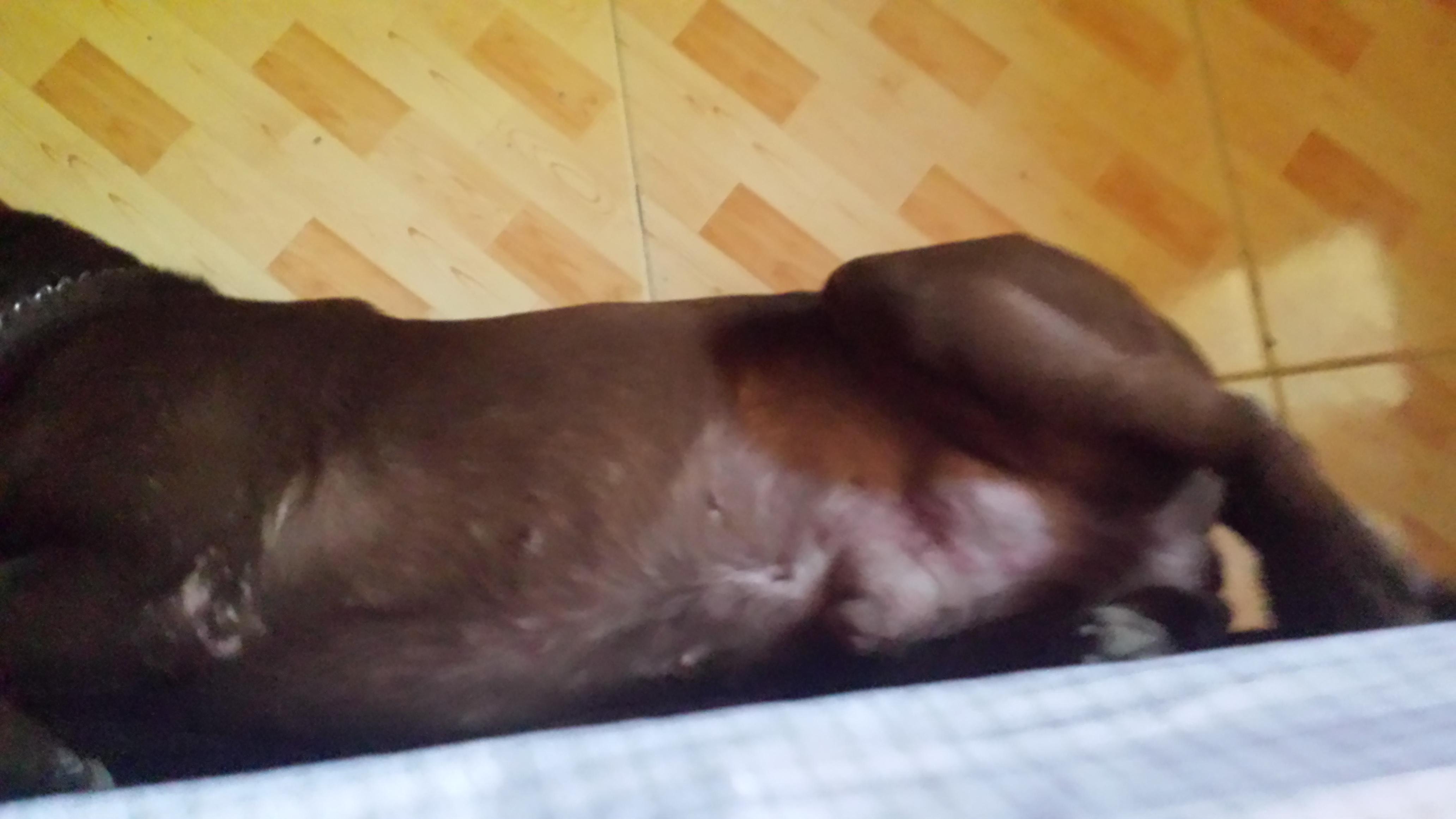 Question details sensitive content