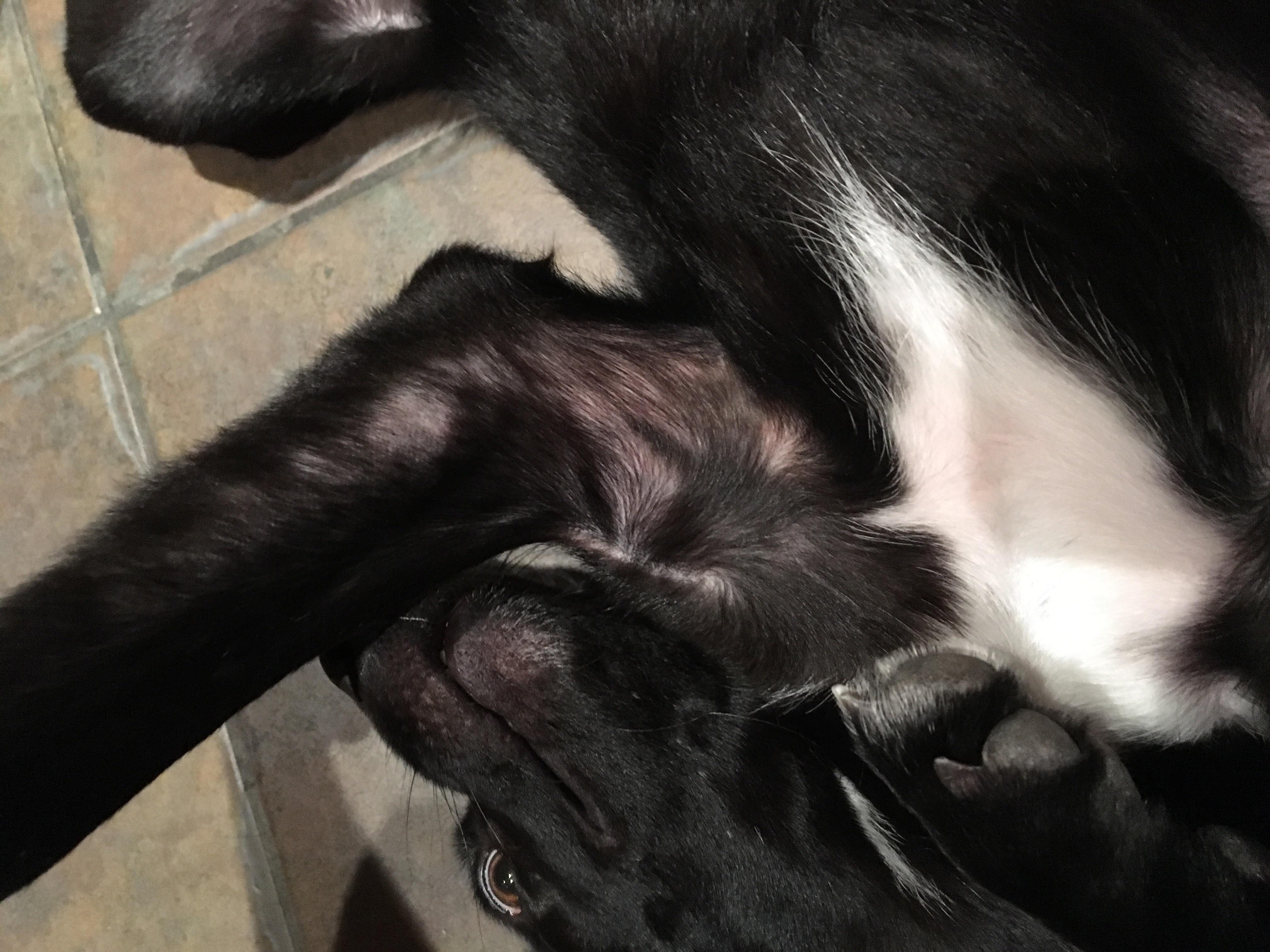 Question details sensitive content