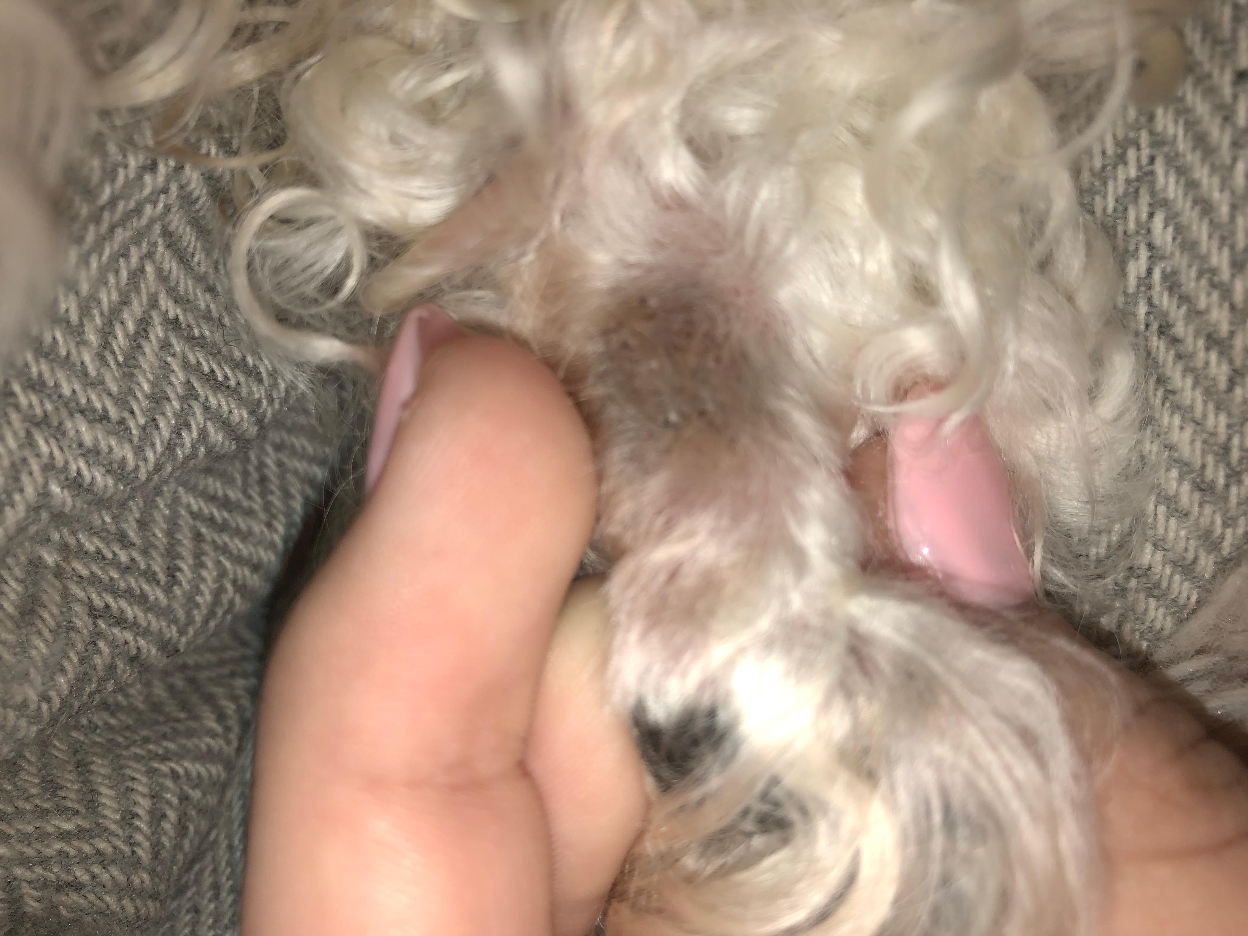 Question details sensitive content