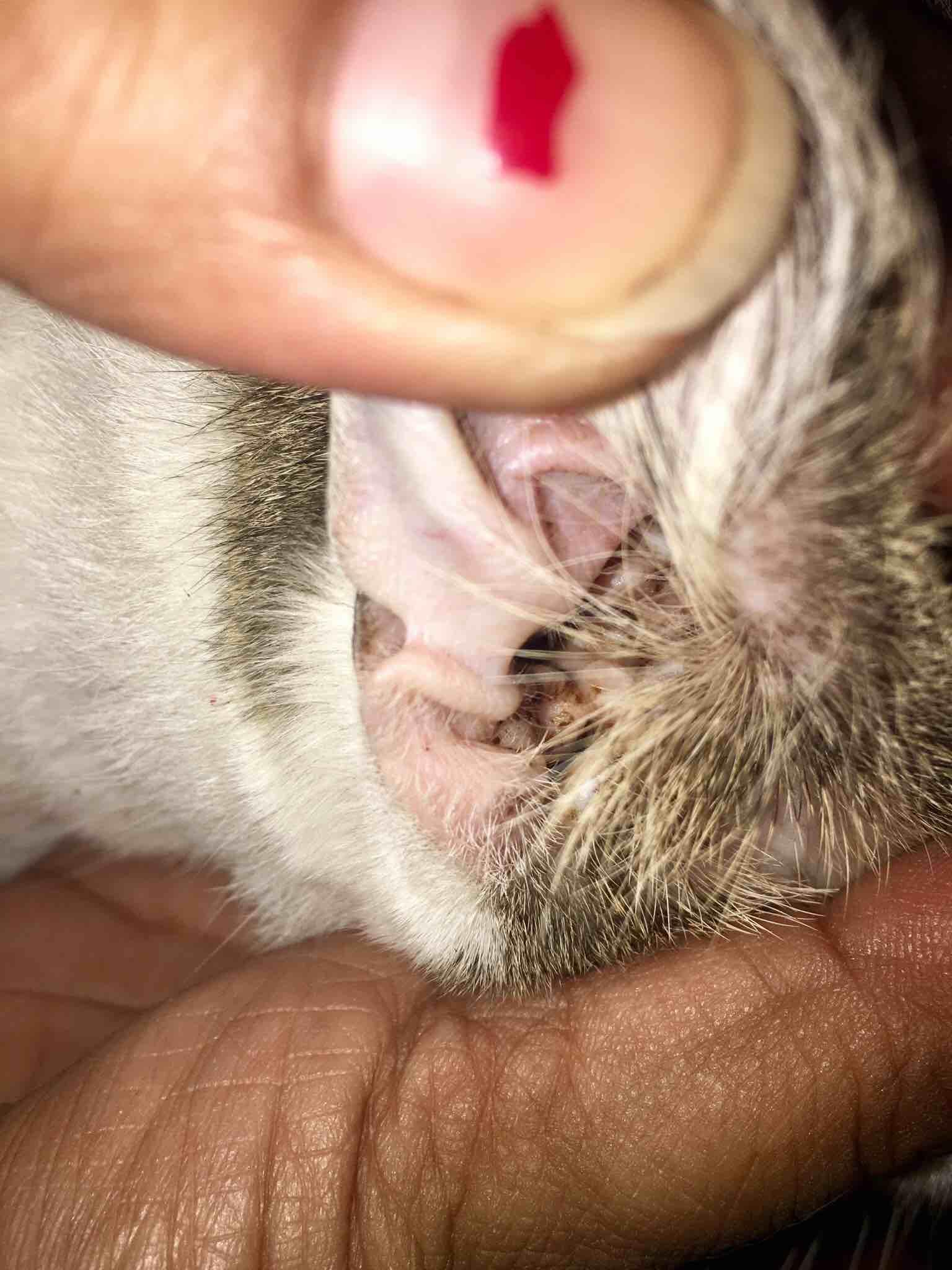 Question details sensitive content