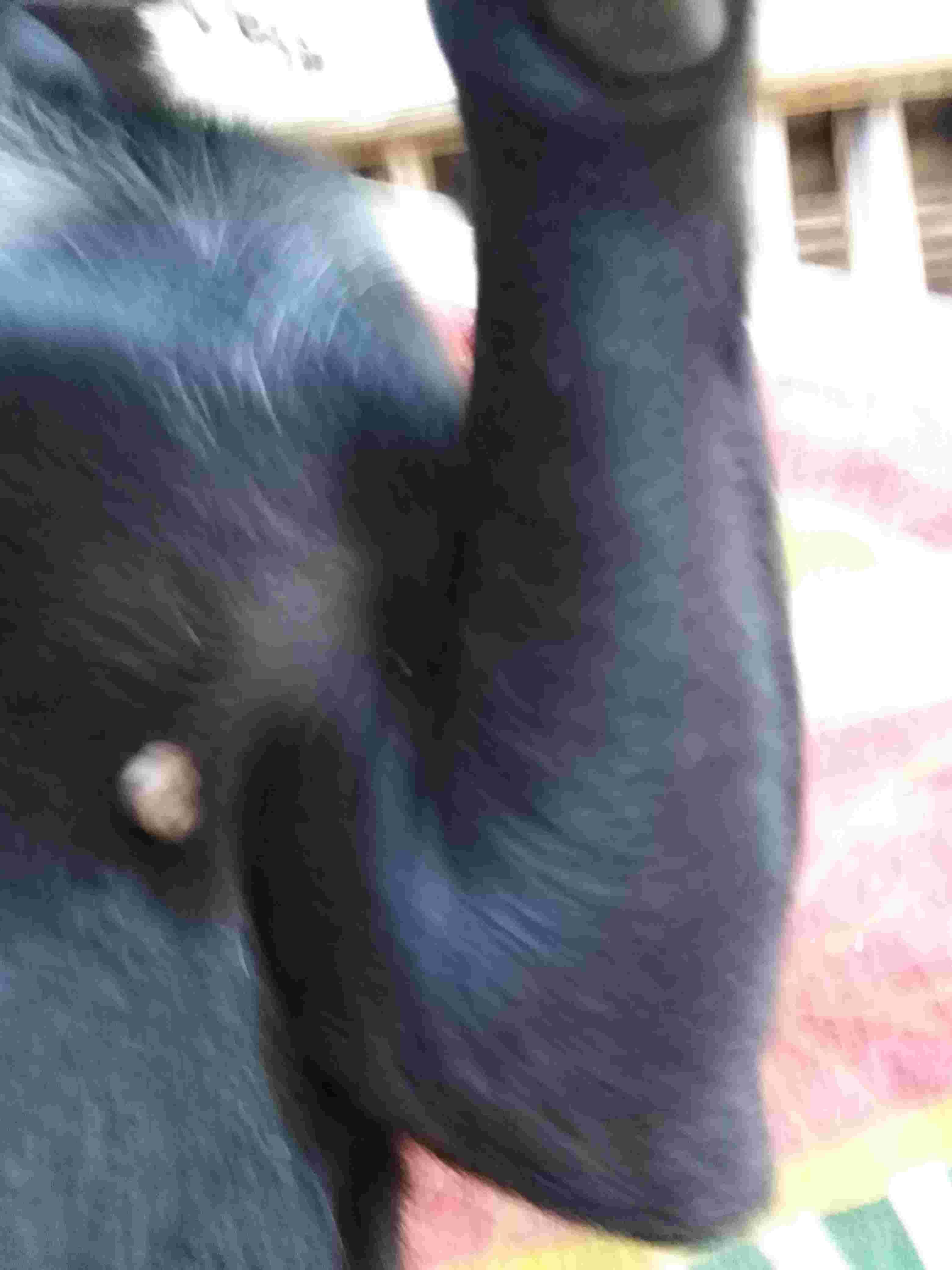 Question details sensitive content