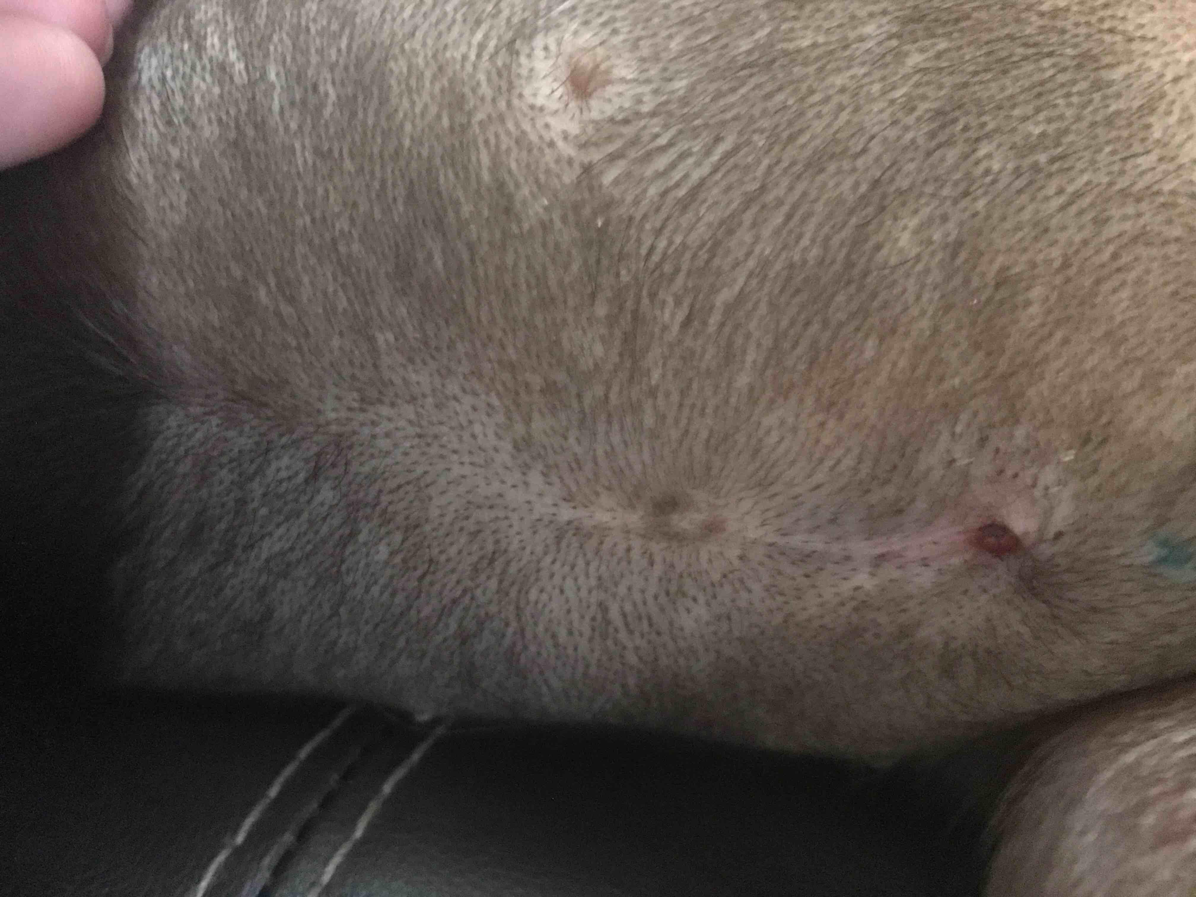 Question details sensitive content