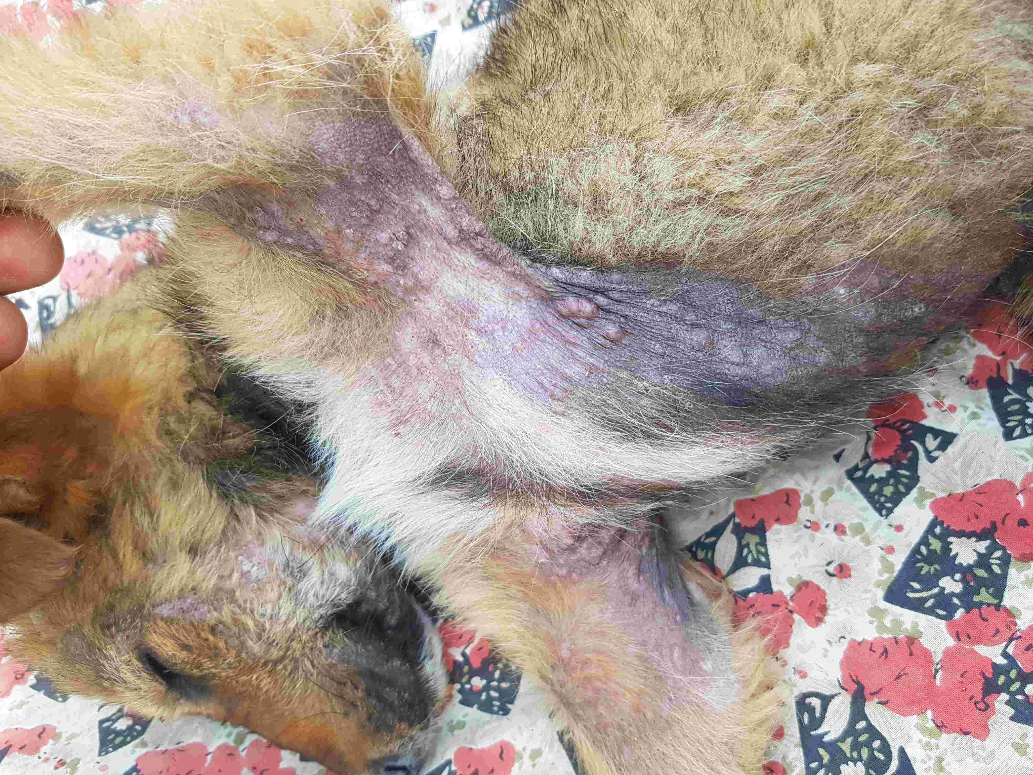 Question details sensitive content