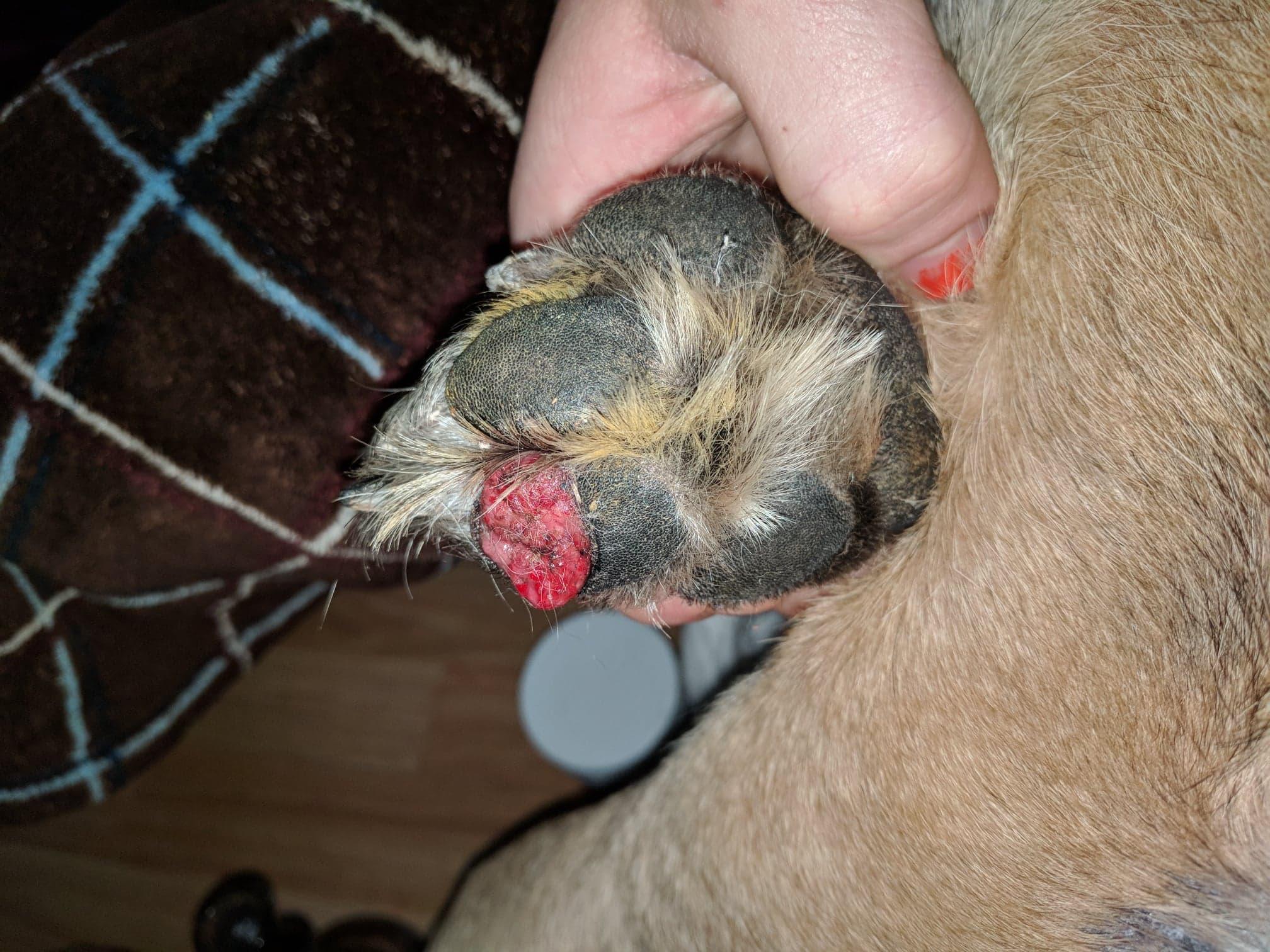 Question details sensitive content