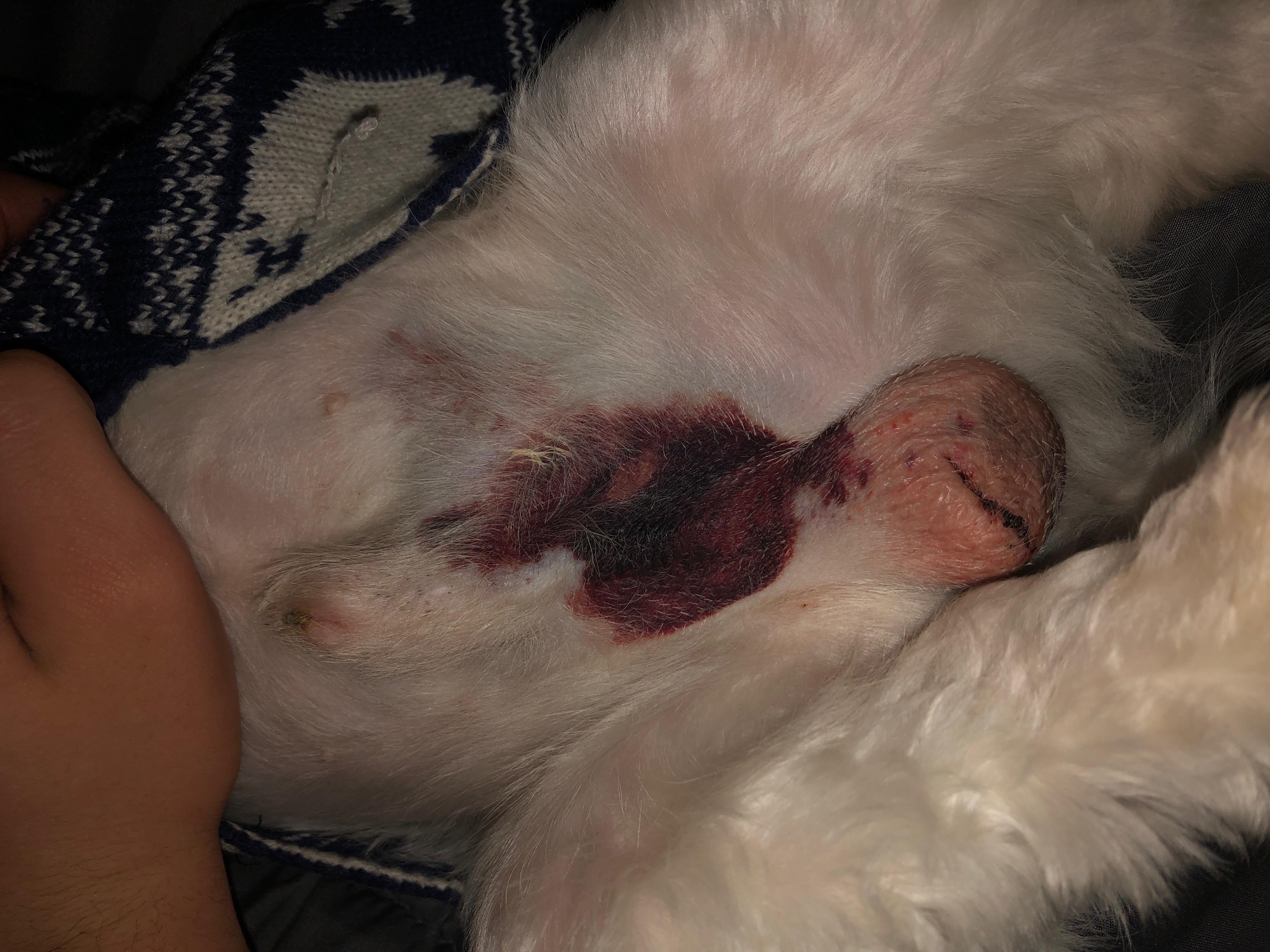 Question details sensitive content